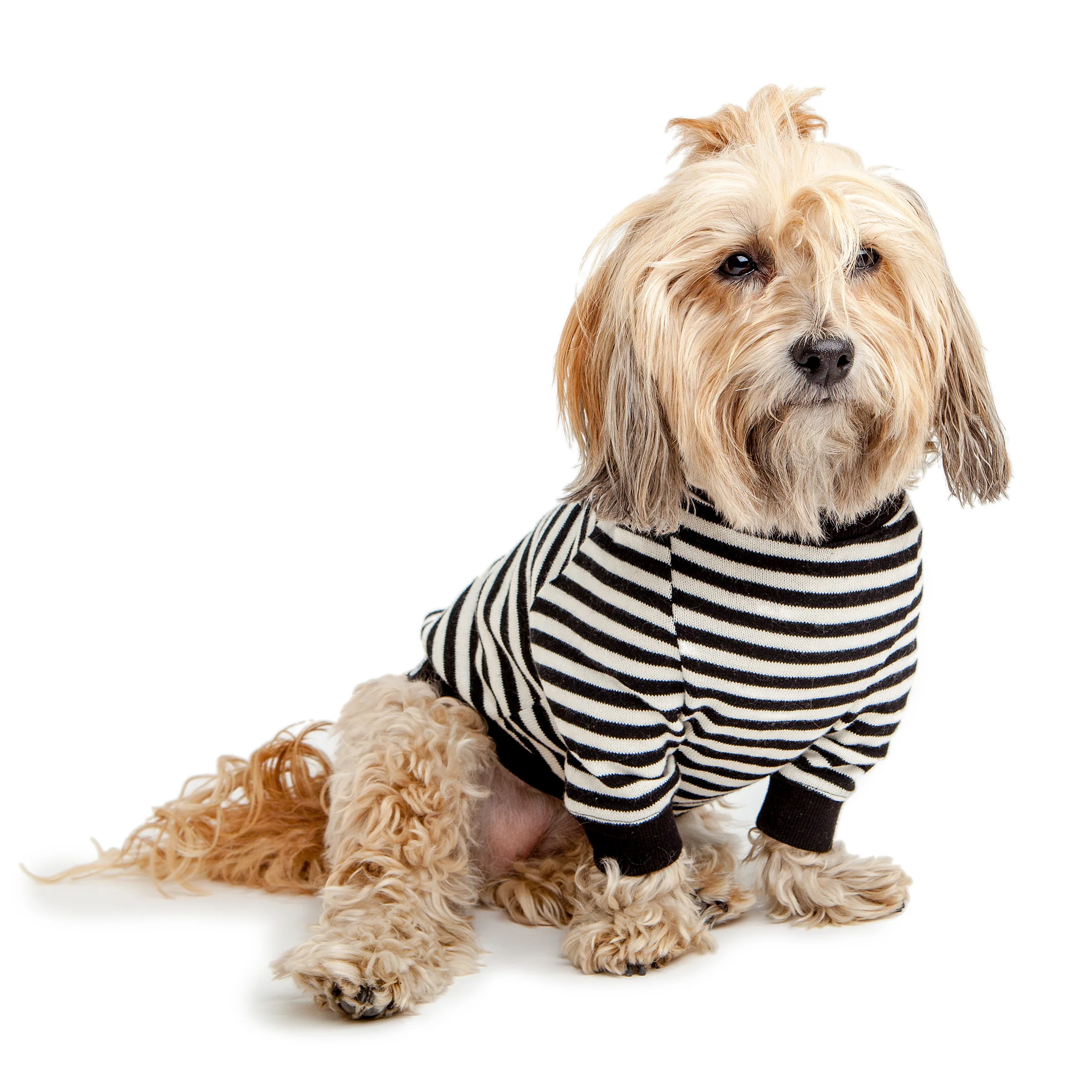 Cheeky Stripe Pullover in Black & White with Black Trim - Image 5