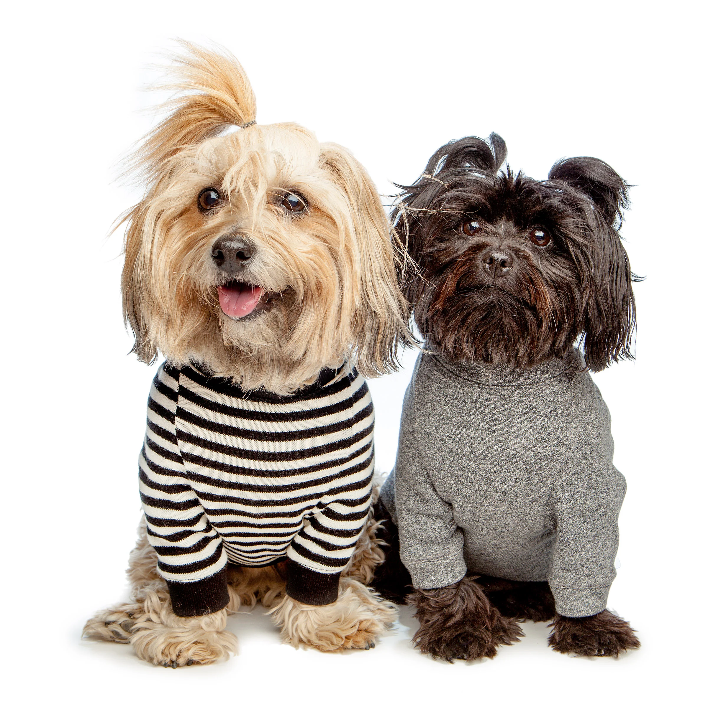 Cheeky Stripe Pullover in Black & White with Black Trim - Image 8