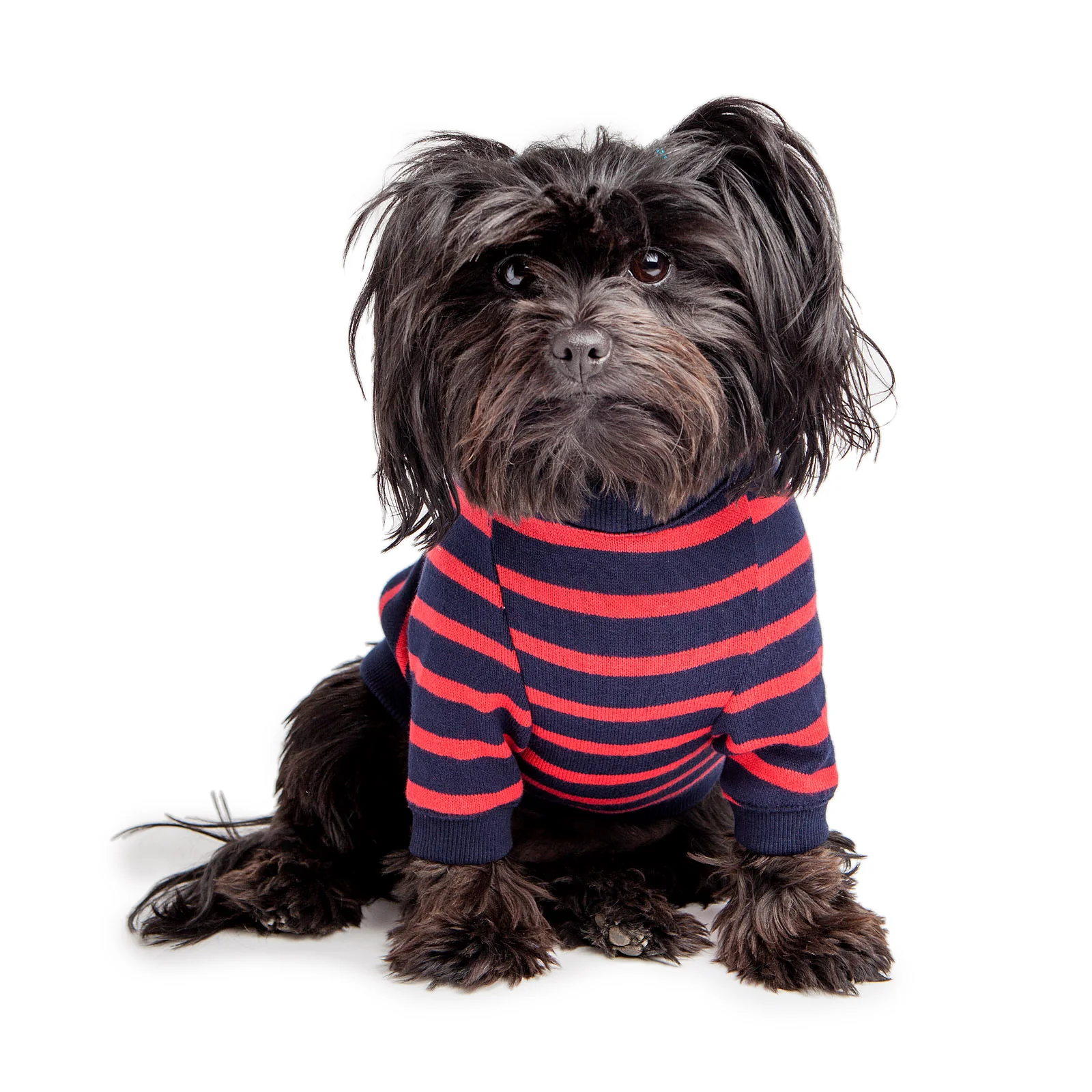 DOG & CO. | Cheeky Stripe Pullover in Navy & Red Small Stripe - Image 2
