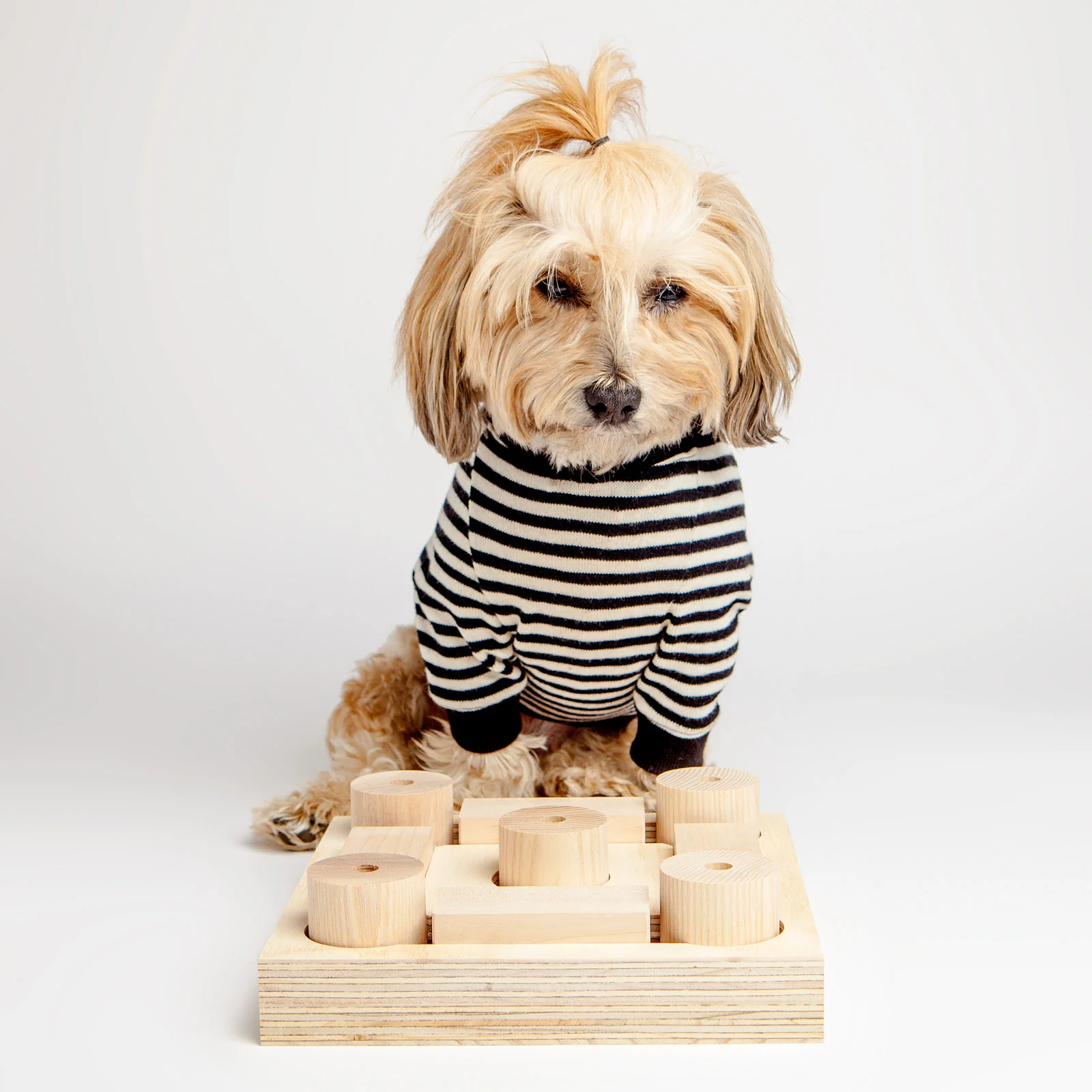 DOG & CO. | Cheeky's Challenge Treat Game - Image 7