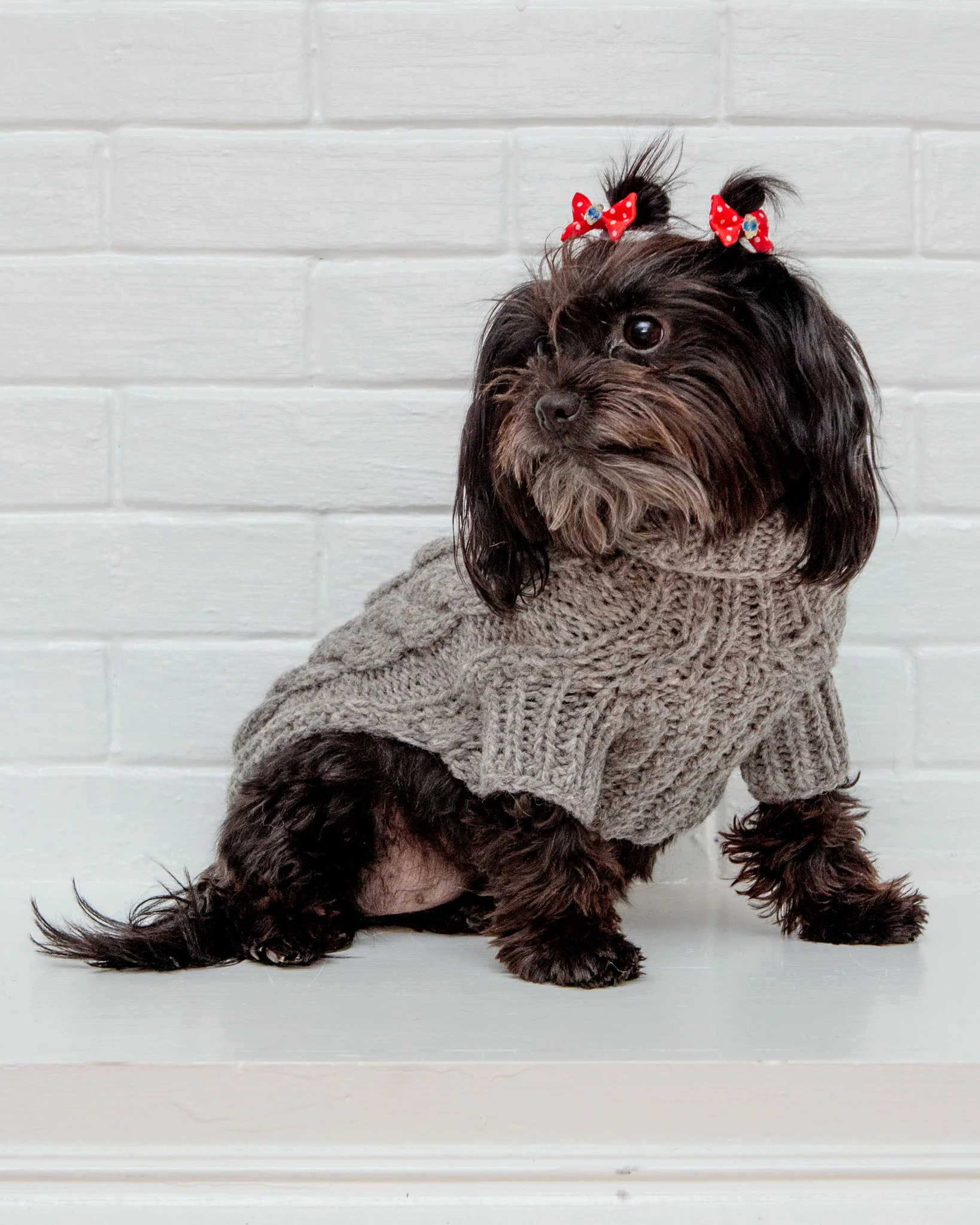 Downtown Roll Neck Dog Sweater in Grey (FINAL SALE) - Image 10