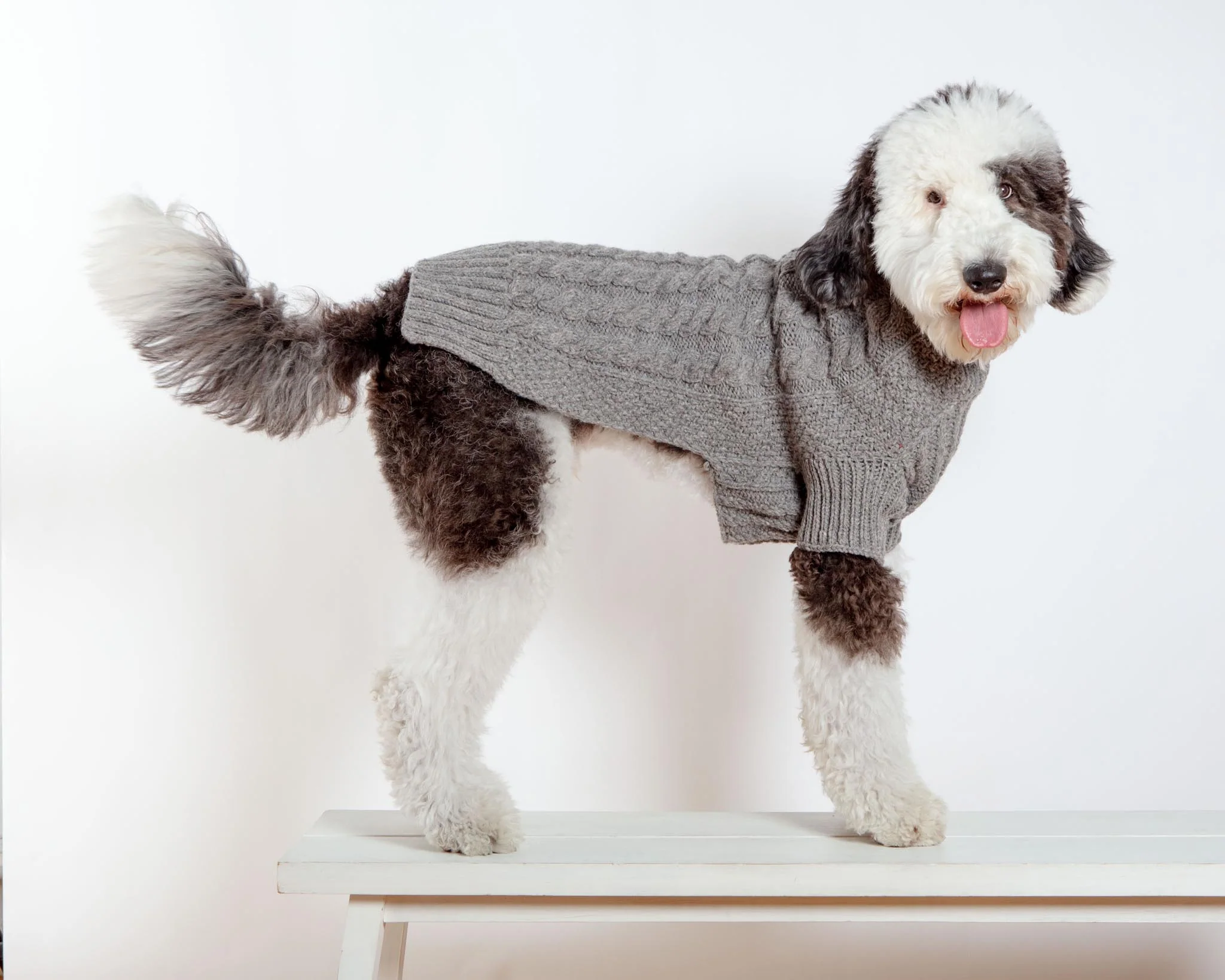 Downtown Roll Neck Dog Sweater in Grey (FINAL SALE) - Image 9