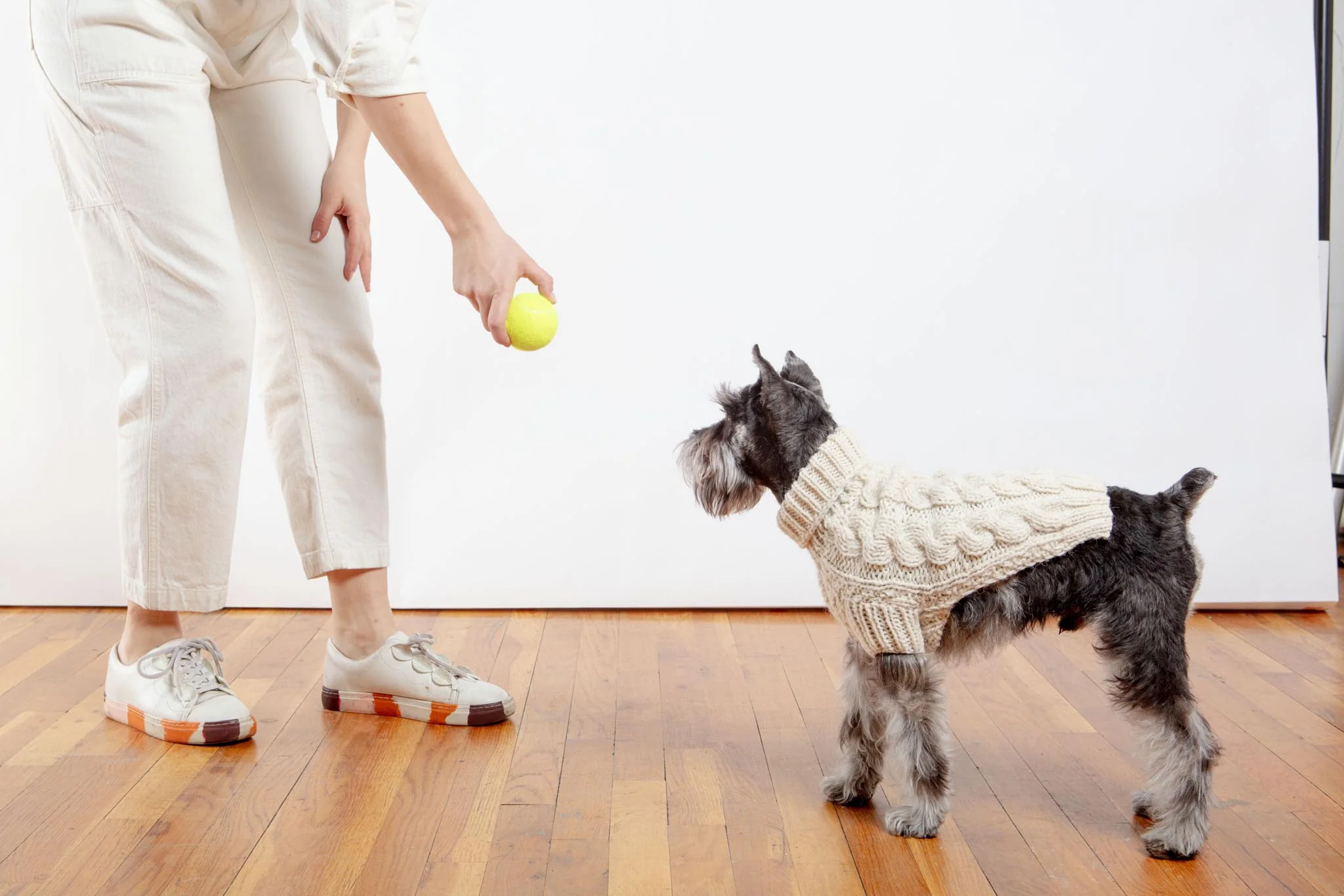 Downtown Roll Neck Dog Sweater in Natural (FINAL SALE) - Image 10