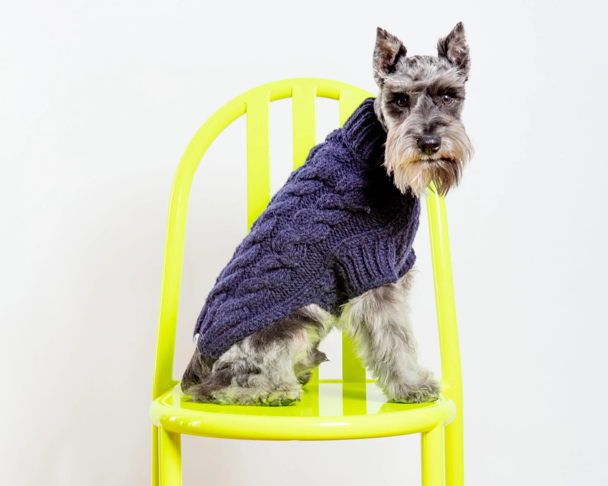 Downtown Roll Neck Dog Sweater in Navy FINAL SALE - Image 6