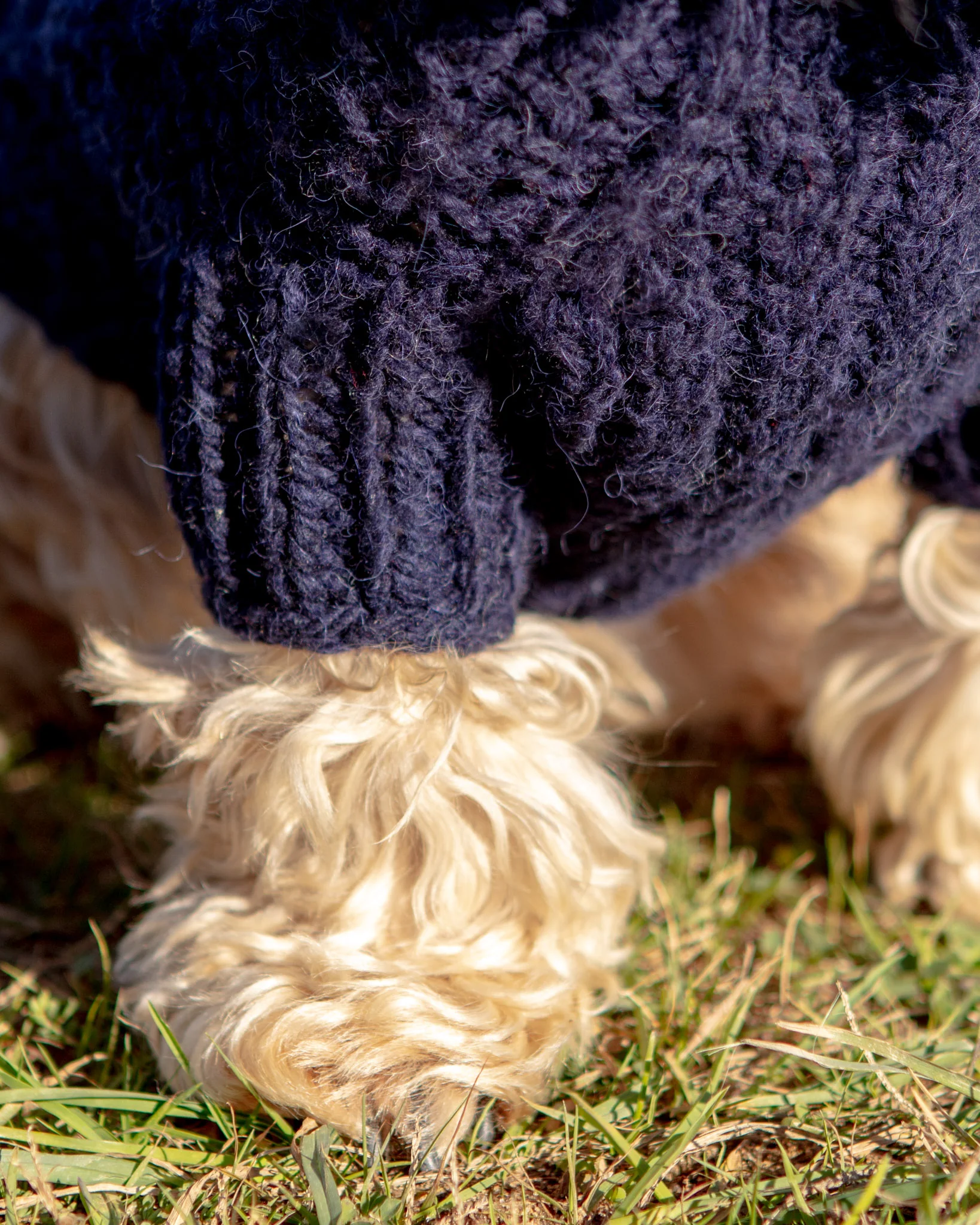 Downtown Roll Neck Dog Sweater in Navy FINAL SALE - Image 9