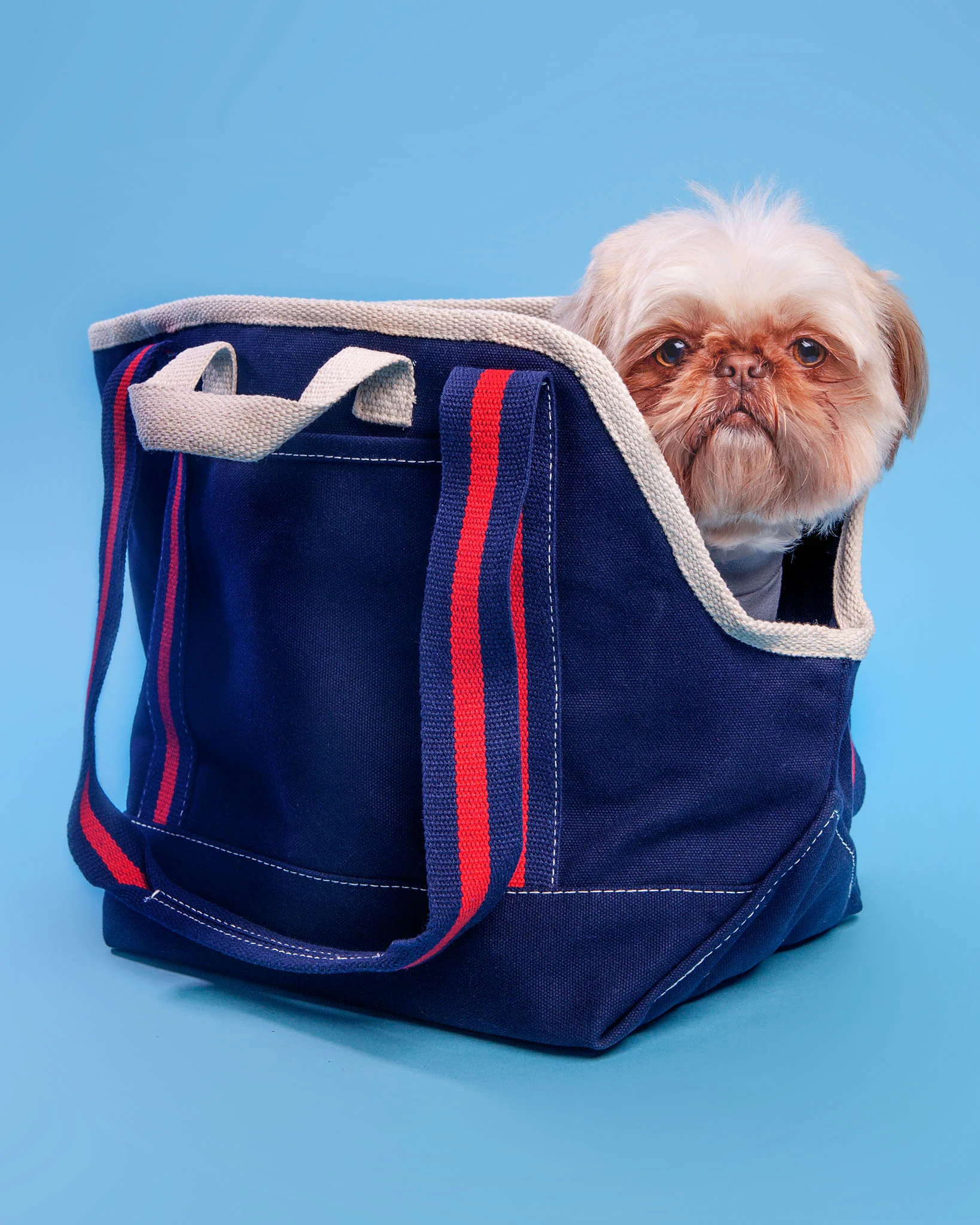 City Carrier Dog Bag in Size 1 - Image 8