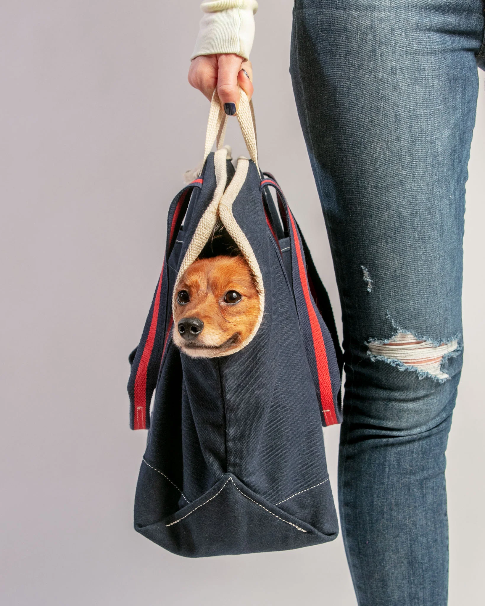 City Carrier Dog Bag in Size 2 - Image 9