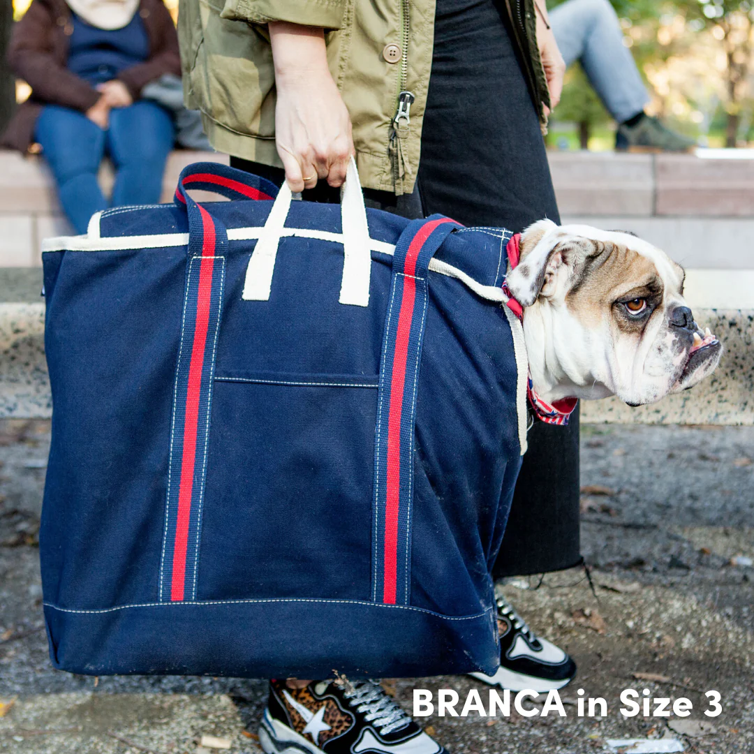 City Carrier Dog Bag in Size 3 - Image 12