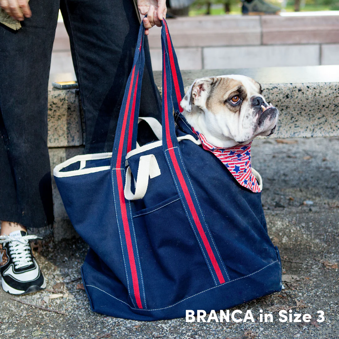 City Carrier Dog Bag in Size 3 - Image 13