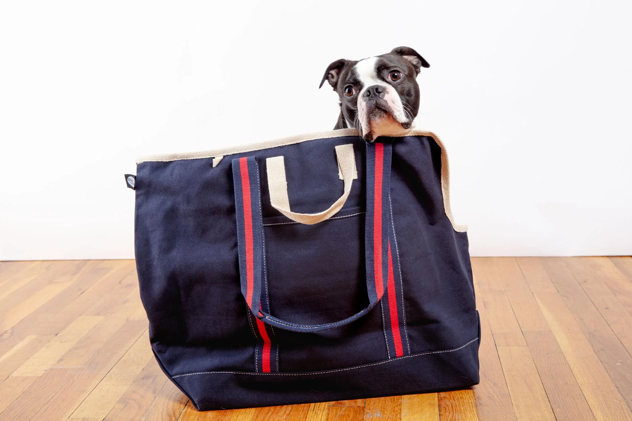 City Carrier Dog Bag in Size 3 - Image 5