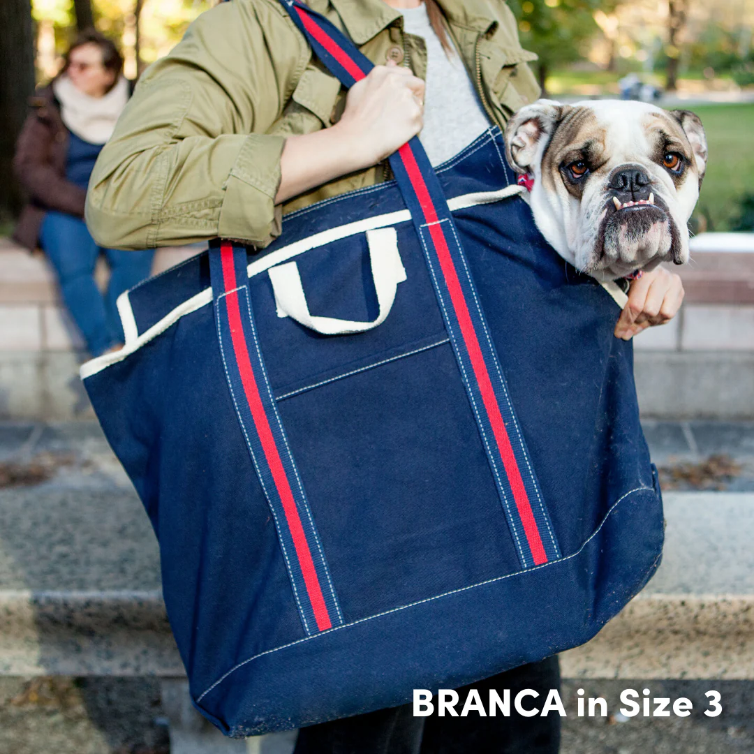 City Carrier Dog Bag in Size 3 - Image 8