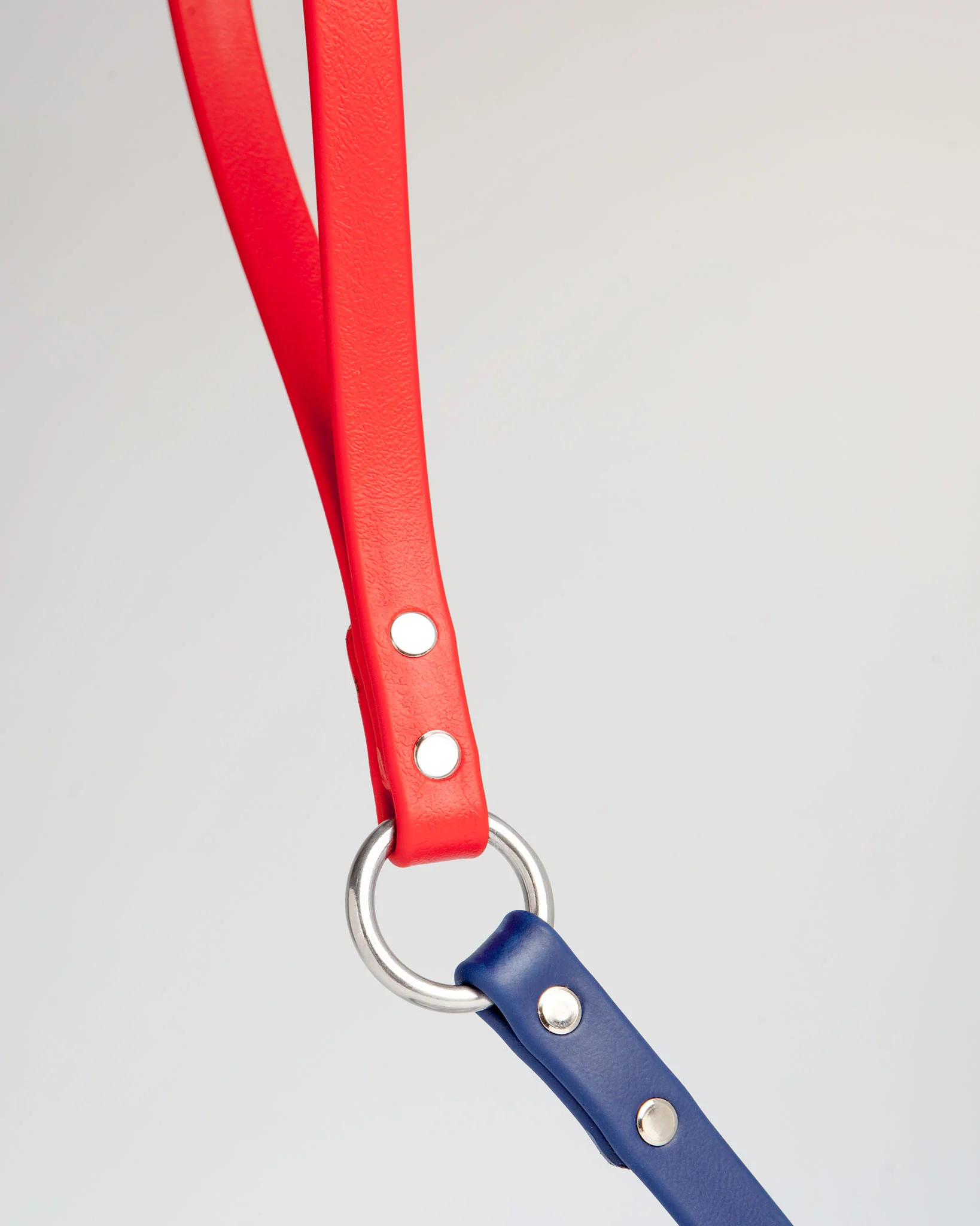 City Leash in Red & Navy - Image 4