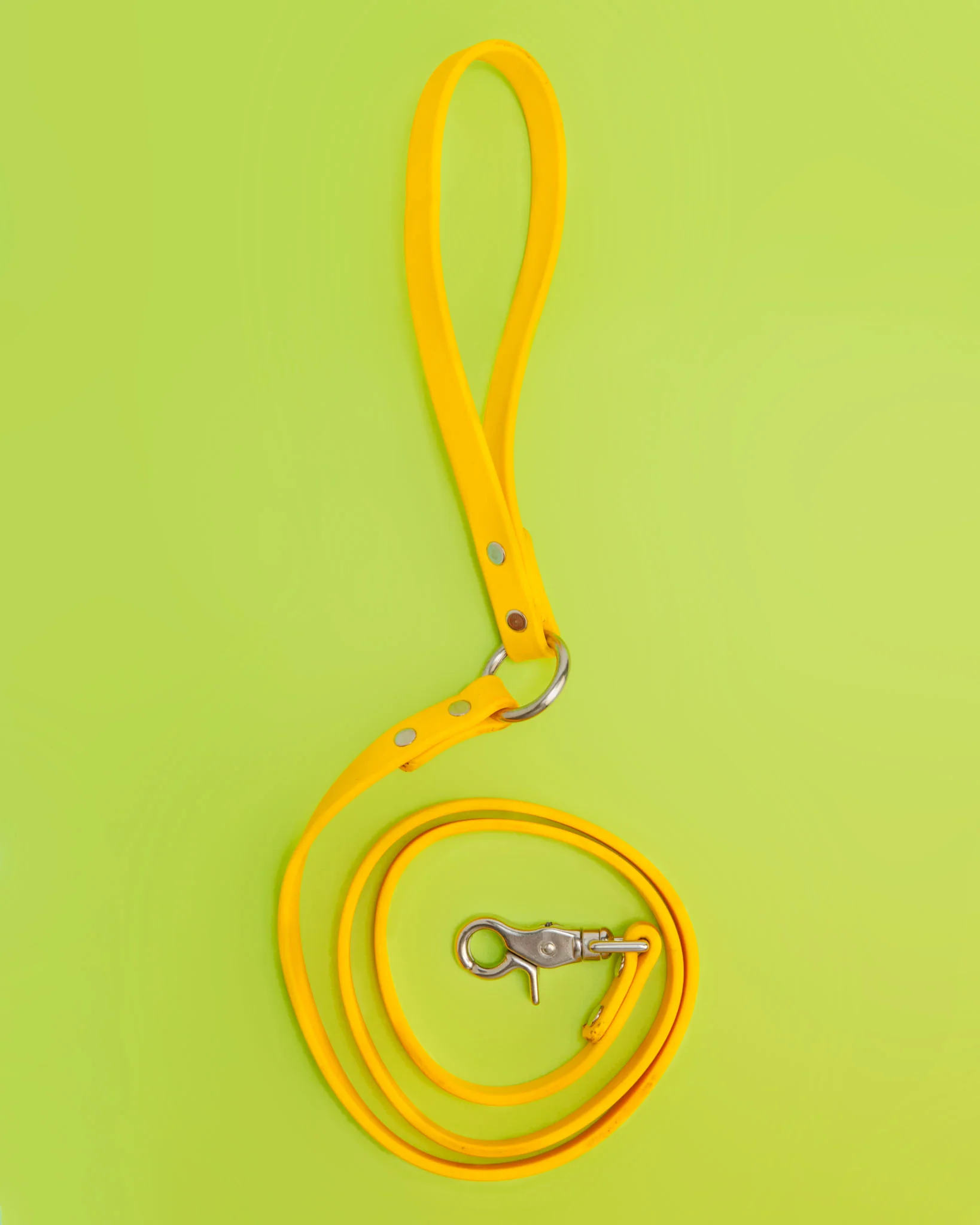 City Leash in Golden Yellow
