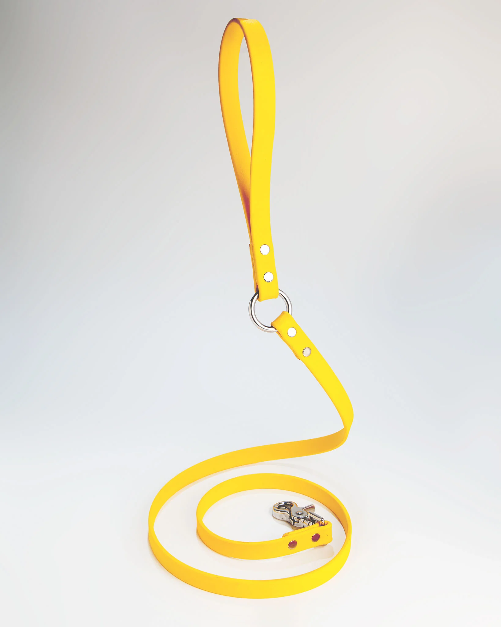 City Leash in Golden Yellow - Image 3