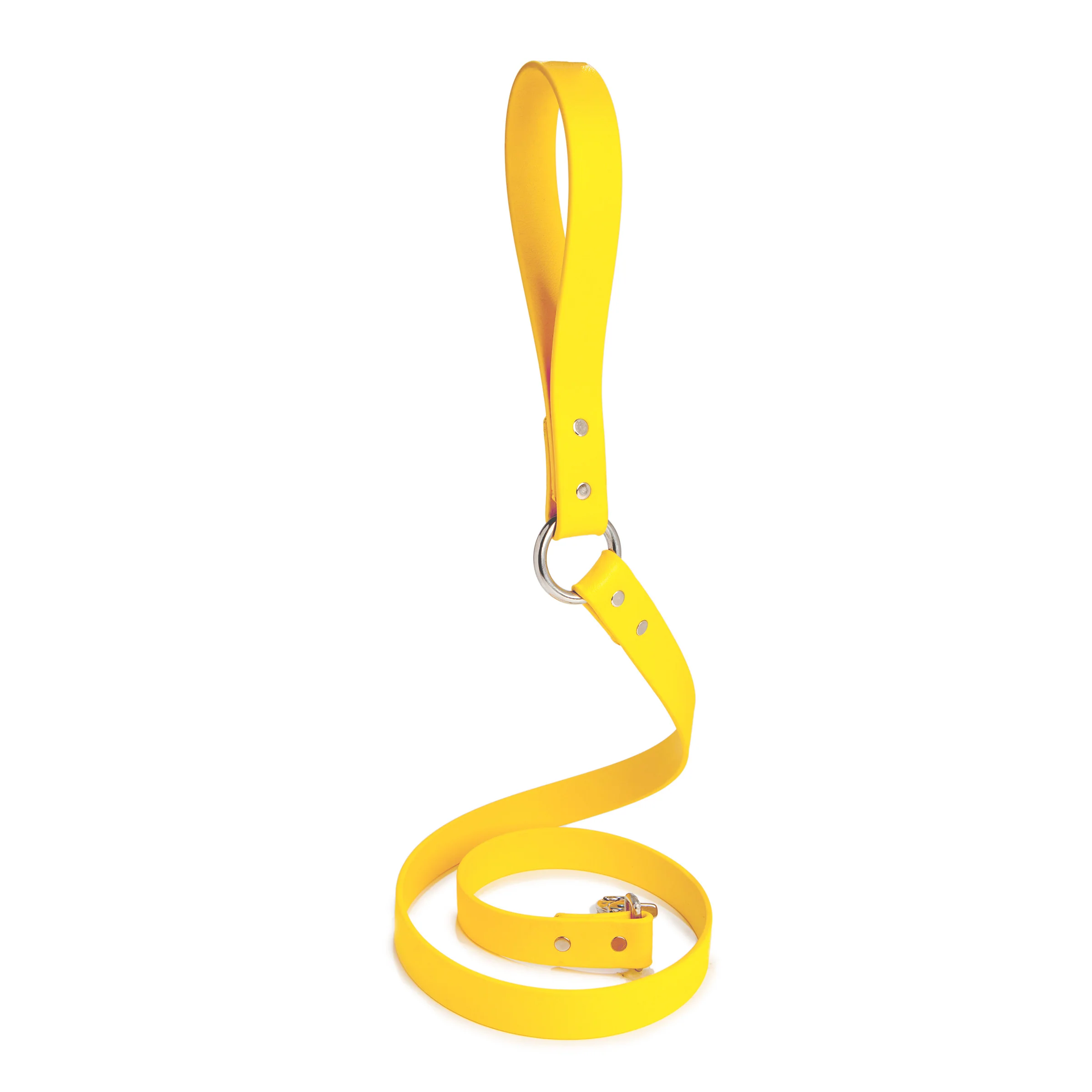 City Leash in Golden Yellow - Image 5