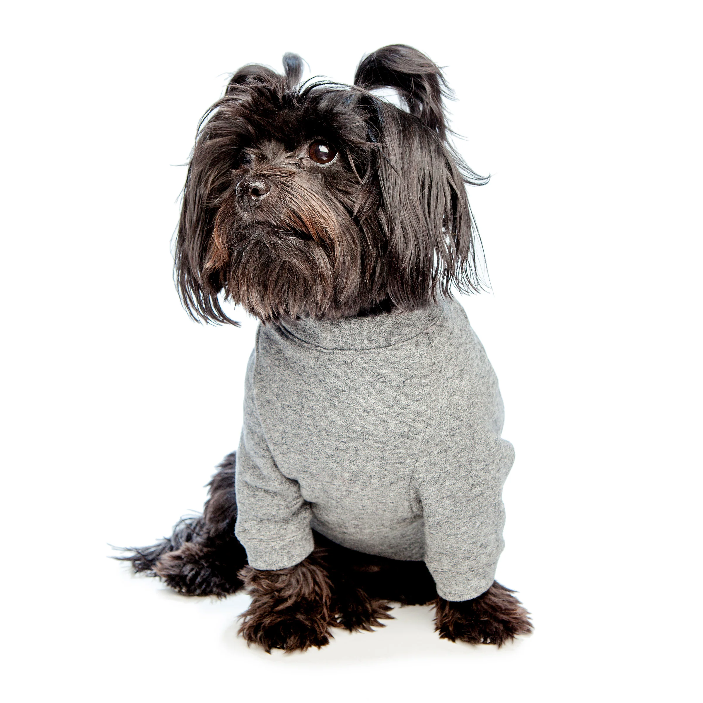 DOG & CO. | Crewneck Sweatshirt in Charcoal Grey - Image 2