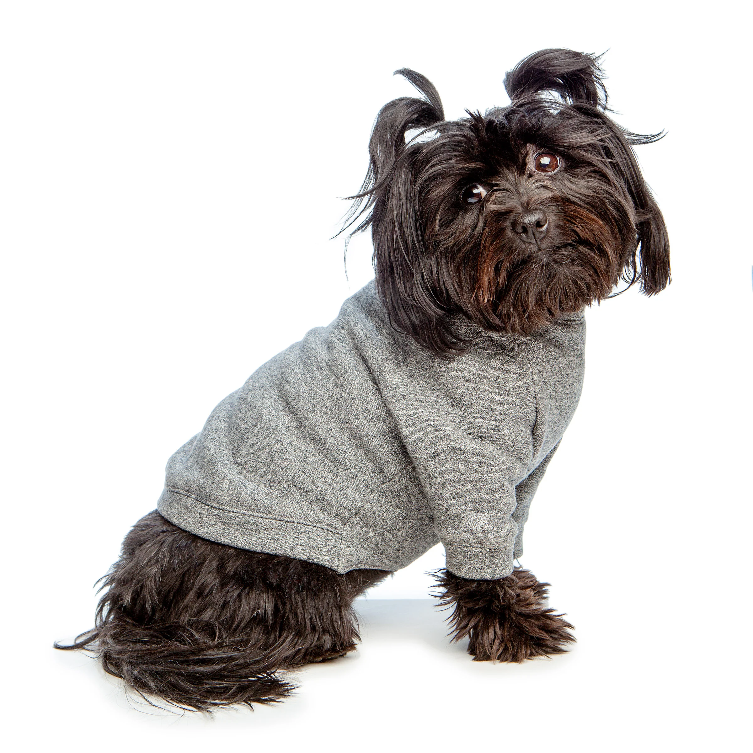 DOG & CO. | Crewneck Sweatshirt in Charcoal Grey - Image 3