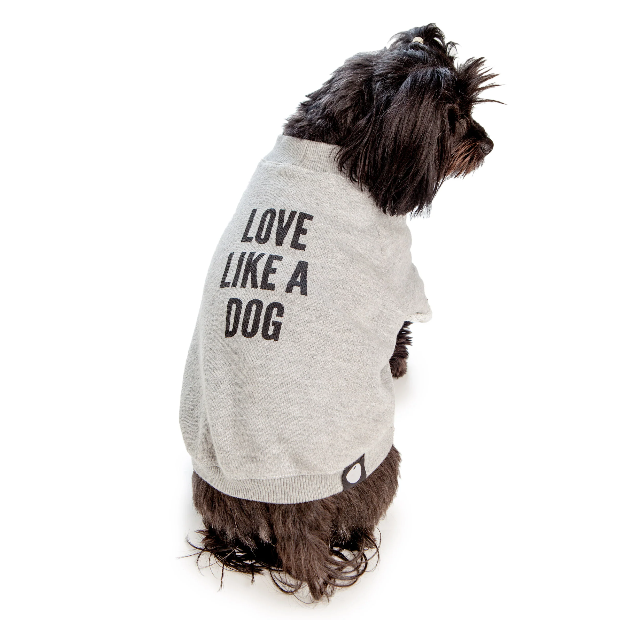 DOG & CO. | Four Legged Feminist Crewneck Sweatshirt - Image 4