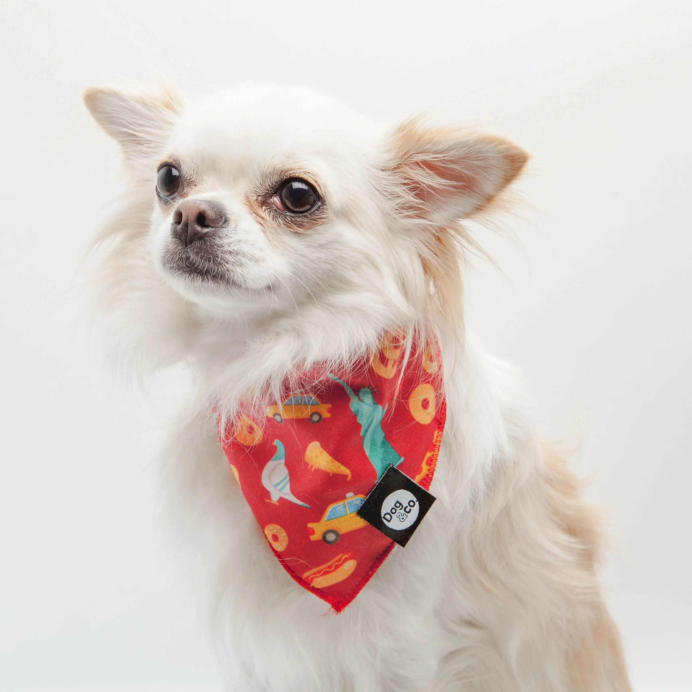 Nutty for New York Dog Bandana - Image 2