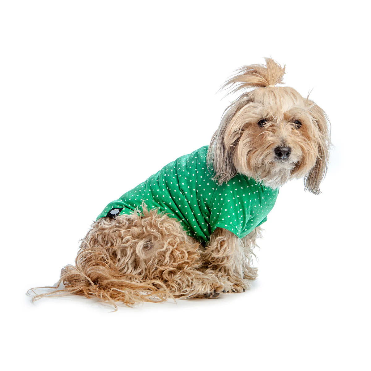 DOG & CO. | Perfect T in Kelly Green Dot - Image 3