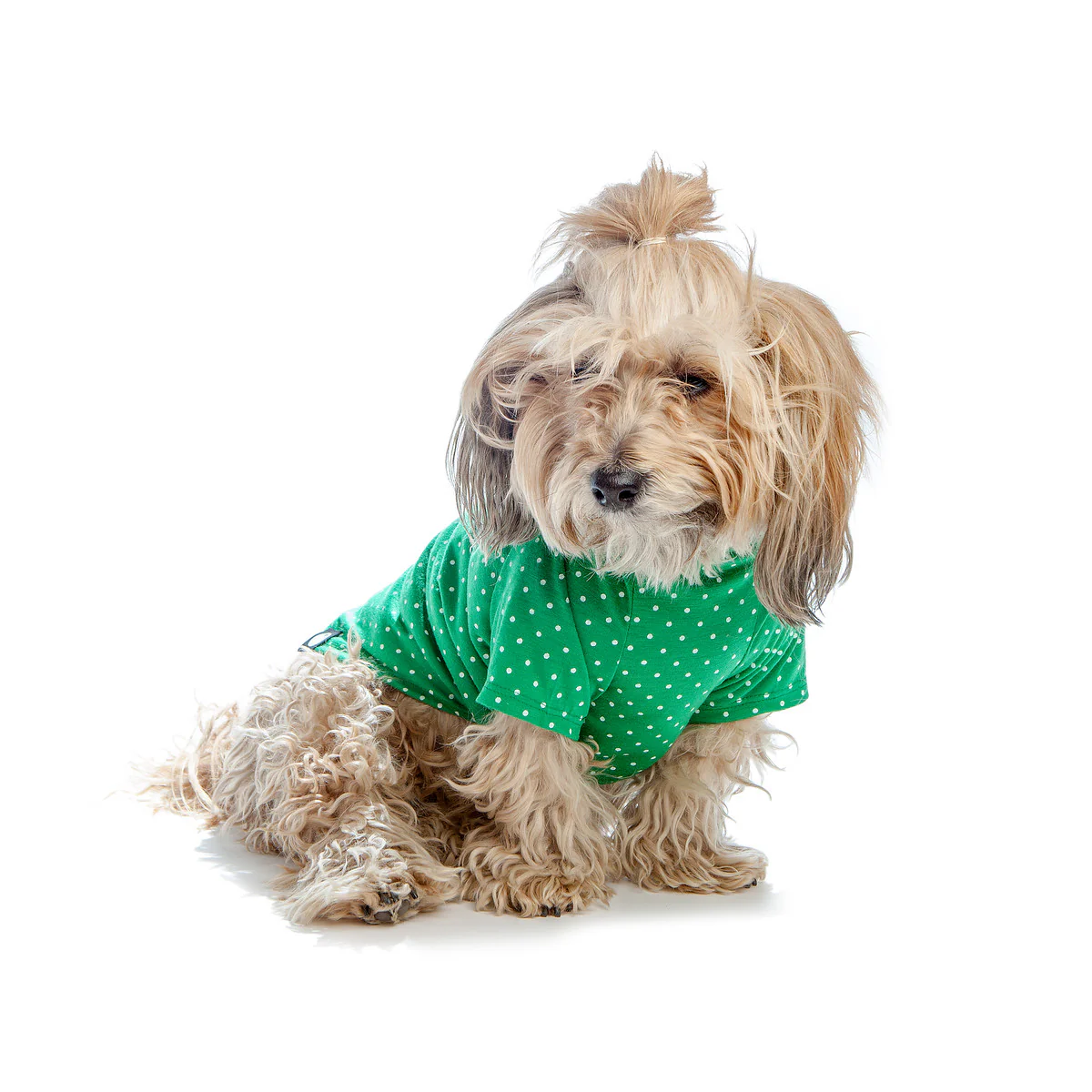 DOG & CO. | Perfect T in Kelly Green Dot - Image 4