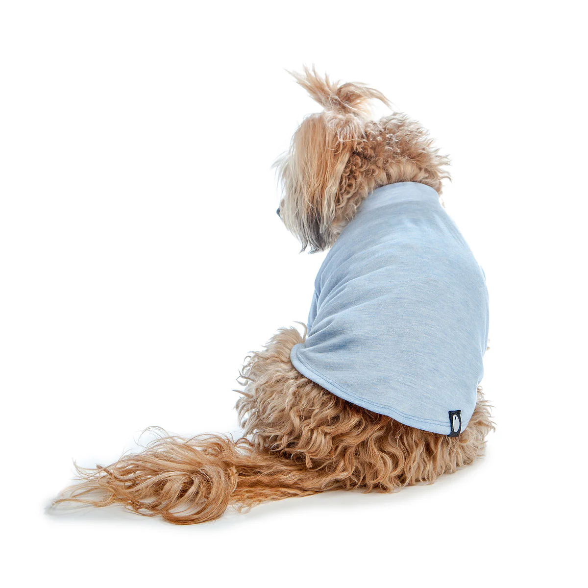 DOG & CO. | Perfect T in Light Blue Stretch - Image 4