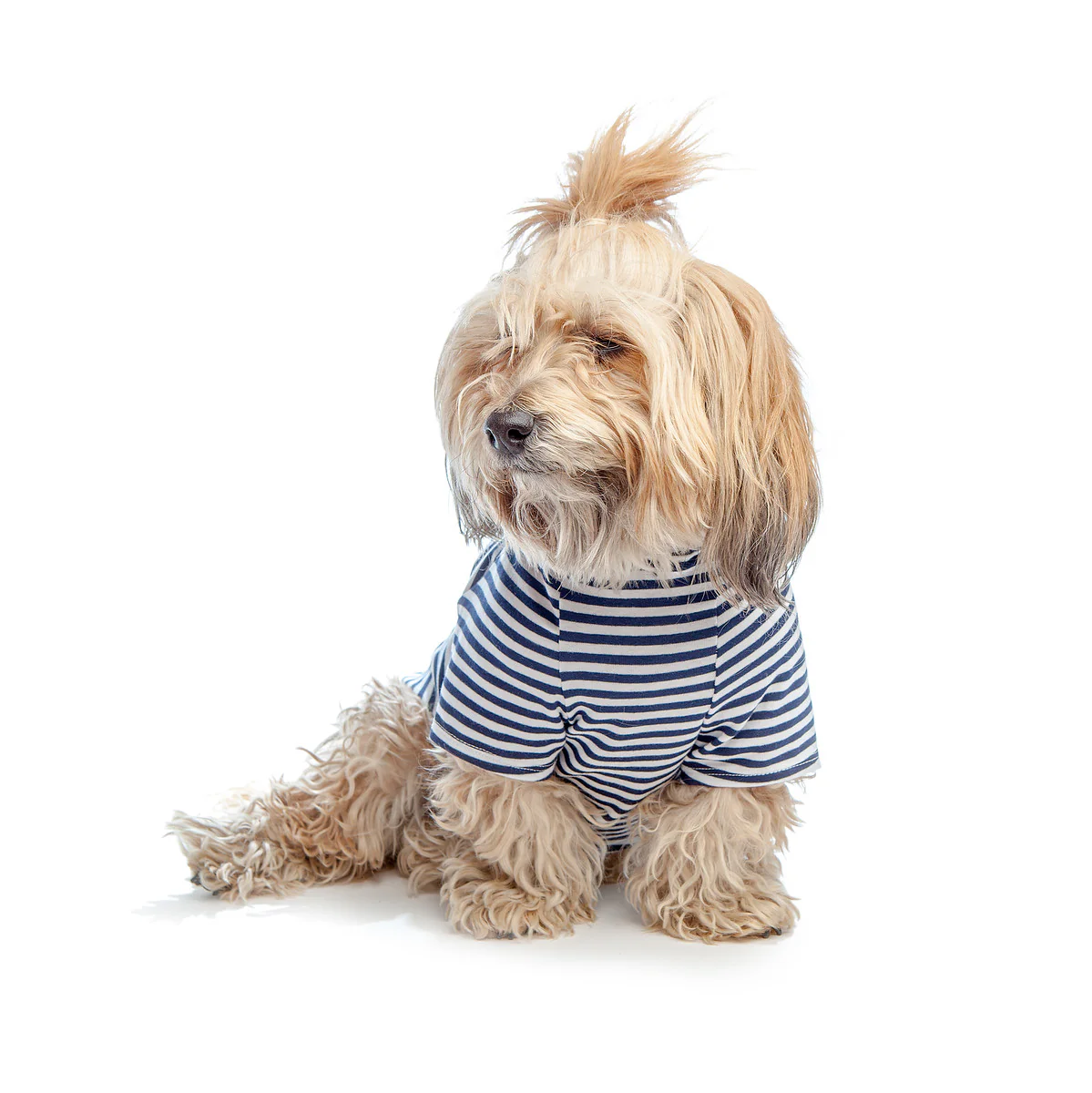 DOG & CO. | Perfect T in Navy & White Sailor Stripe - Image 4