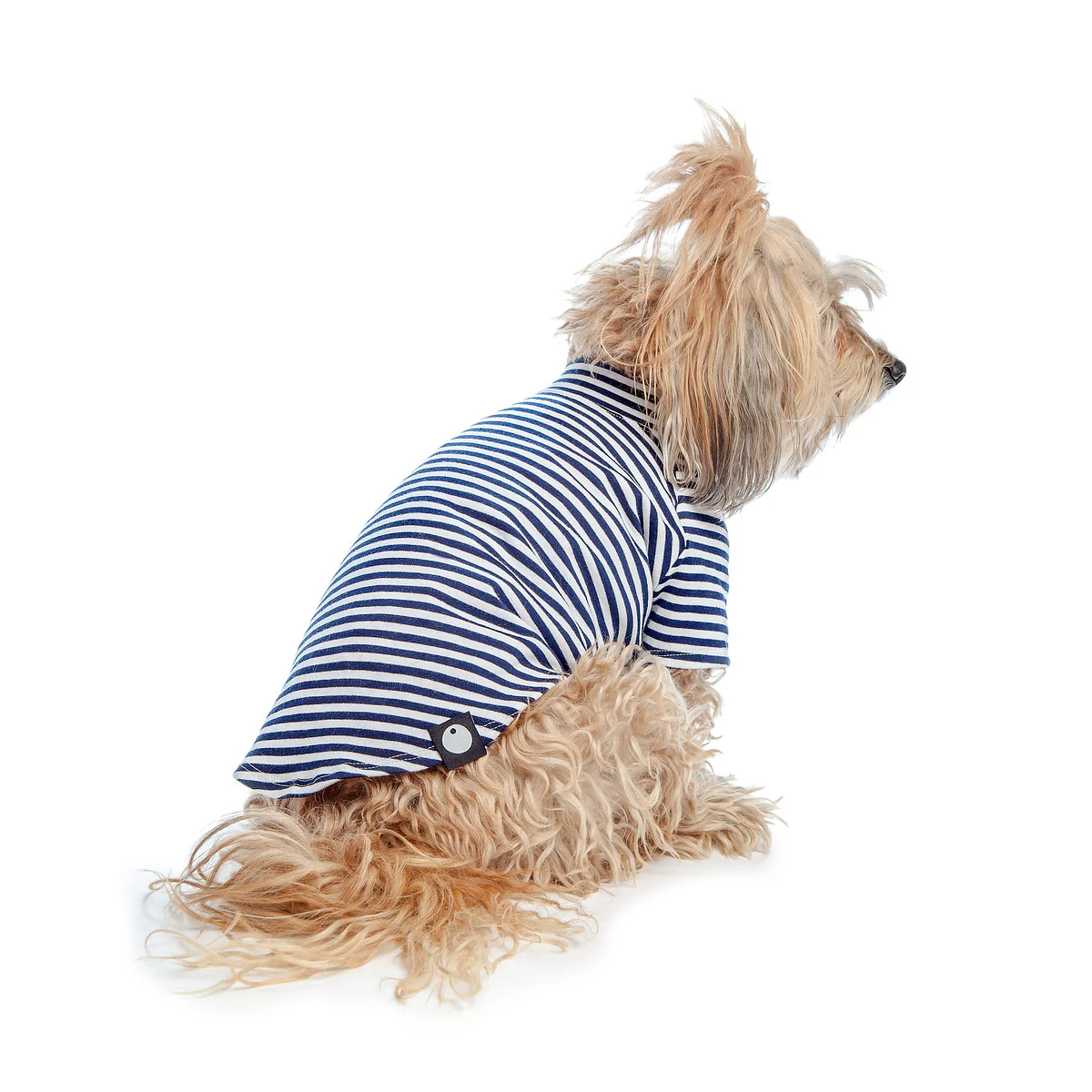 DOG & CO. | Perfect T in Navy & White Sailor Stripe - Image 5
