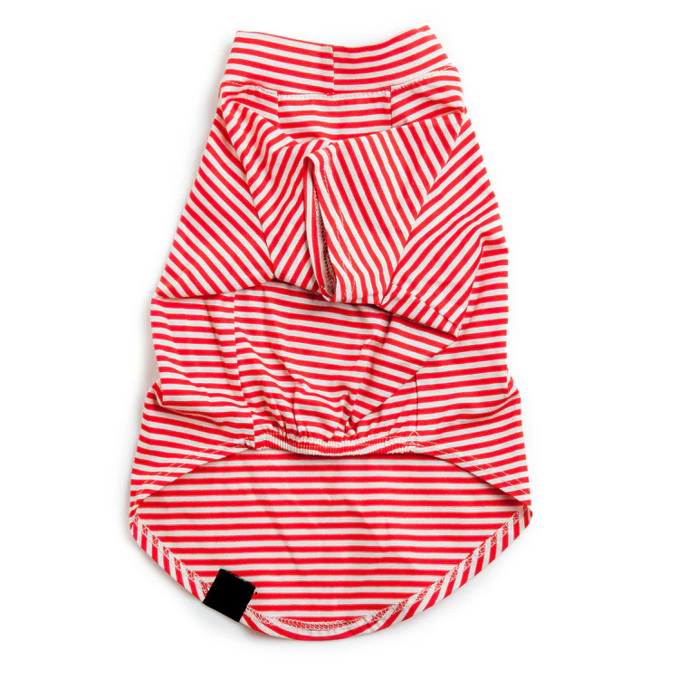 DOG & CO. | Perfect T in Red & White Stripe - Image 3