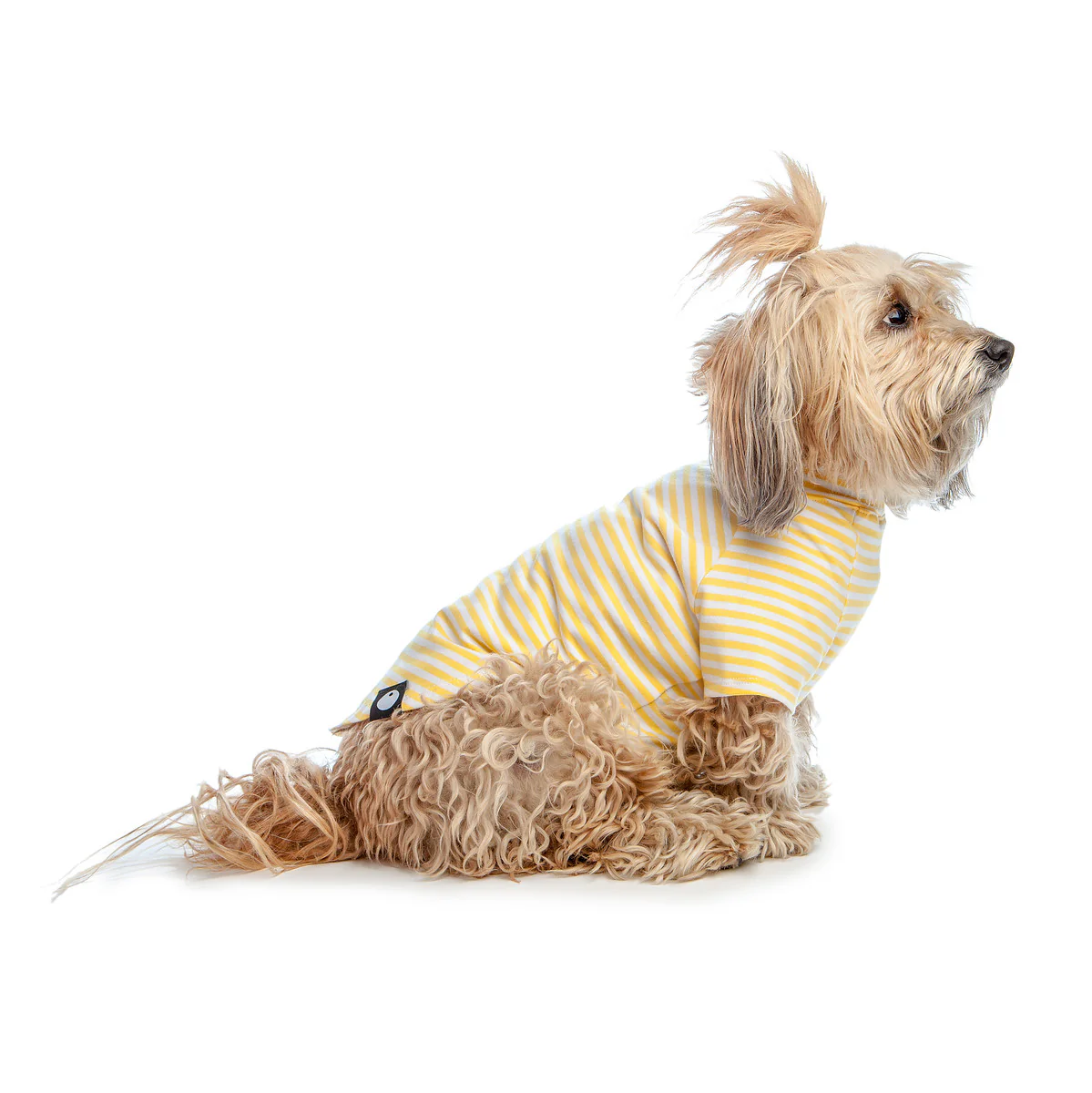 DOG & CO. | Perfect T in Sunshine Yellow & White Stripe - Image 4