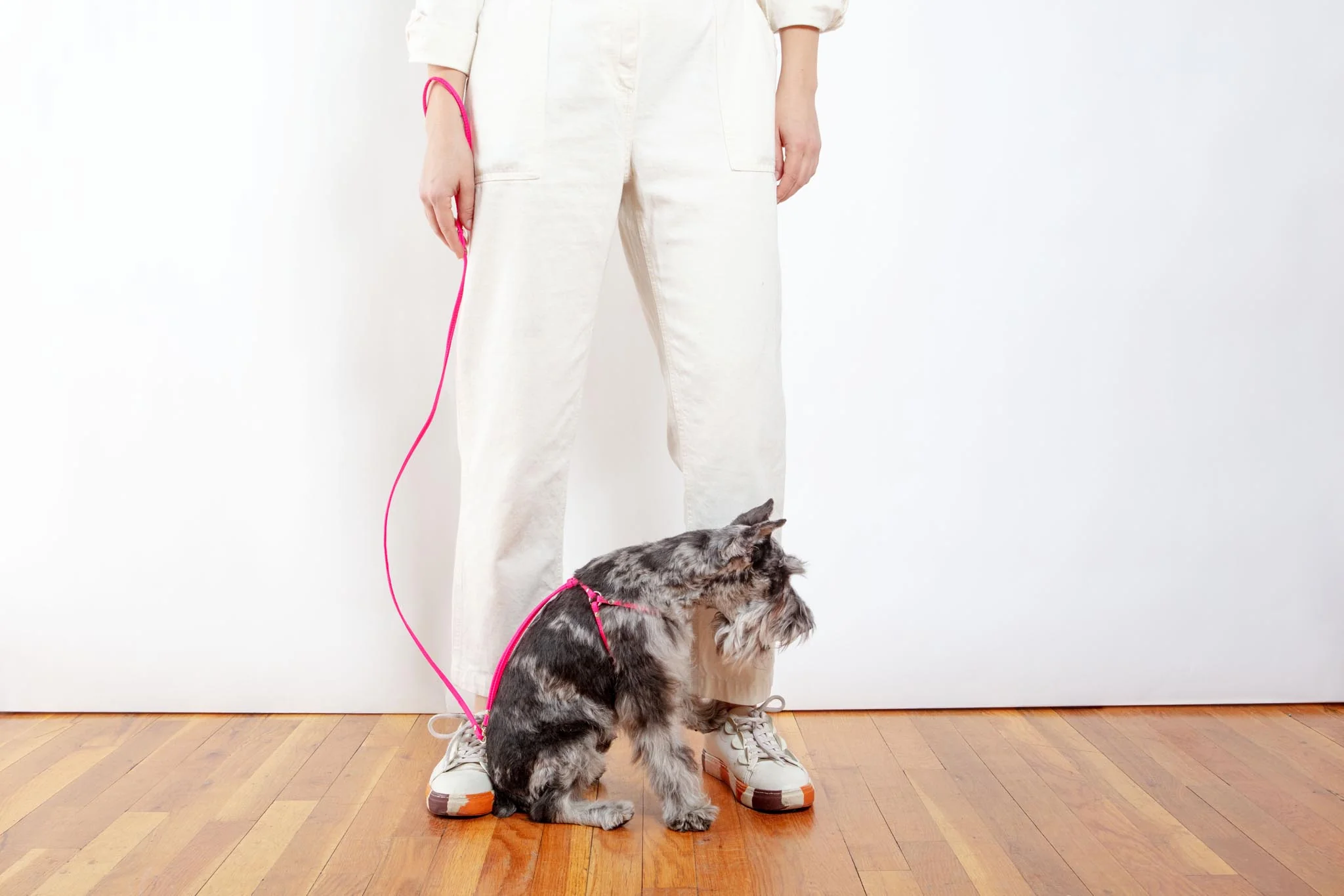Step-In Adjustable Dog Harness in Neon Pink (Made in the USA) - Image 4