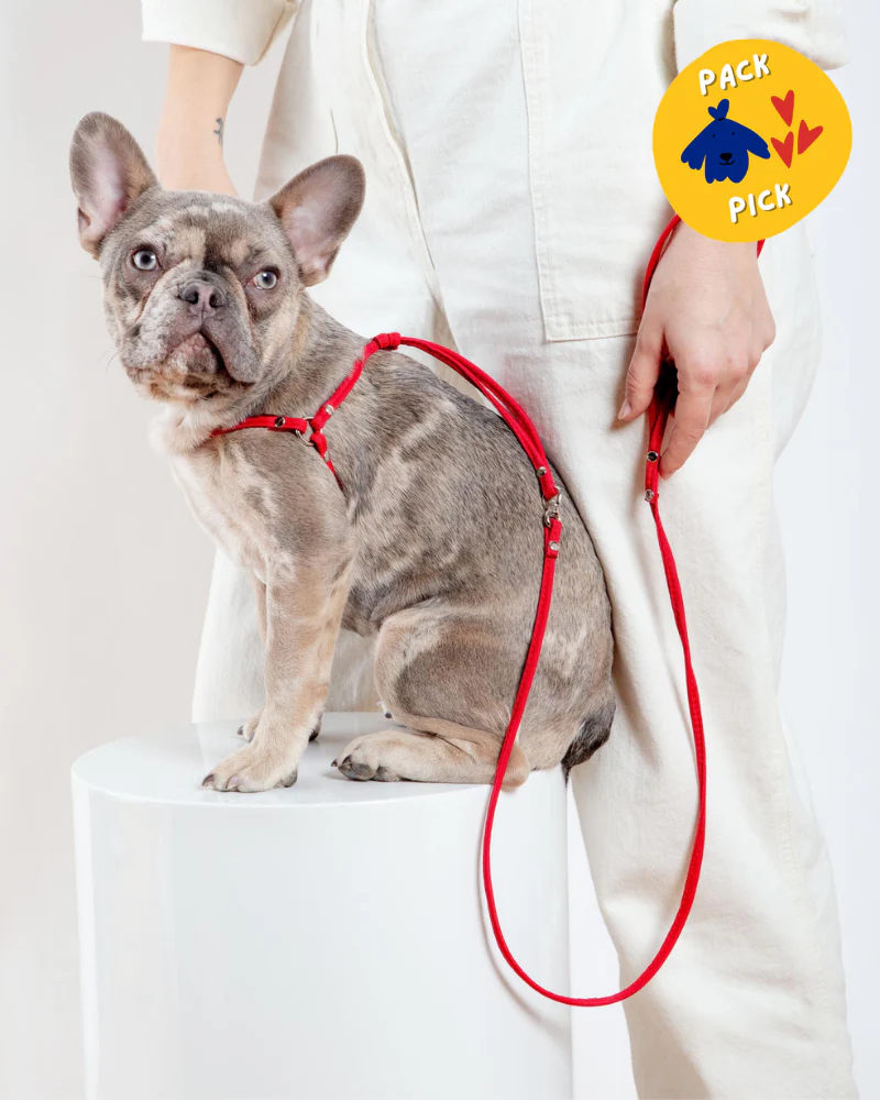 Nylon Step-In Adjustable Dog Harness in Red (Made in the USA) - Image 2
