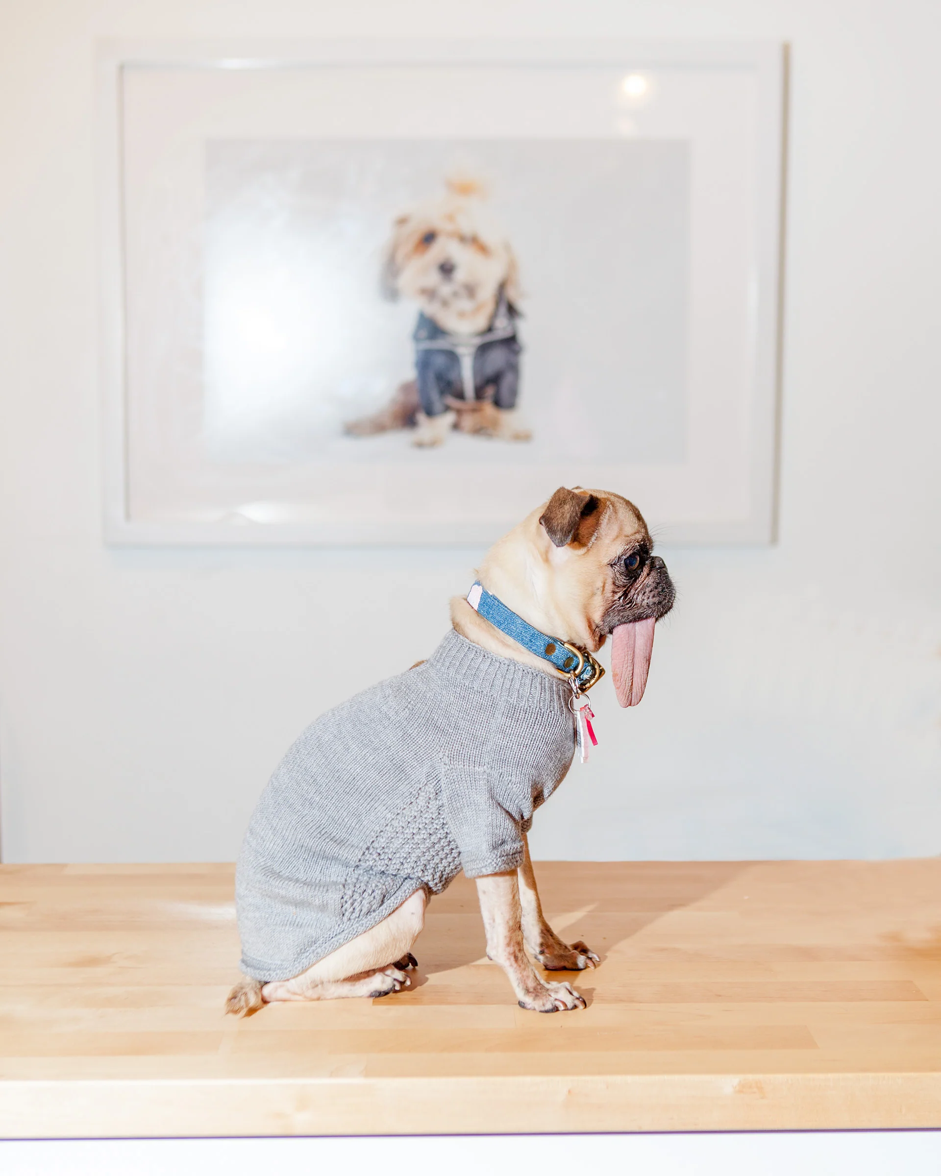 The Mabel Dog Sweater in Grey (Made in the USA) << FINAL SALE >> - Image 4