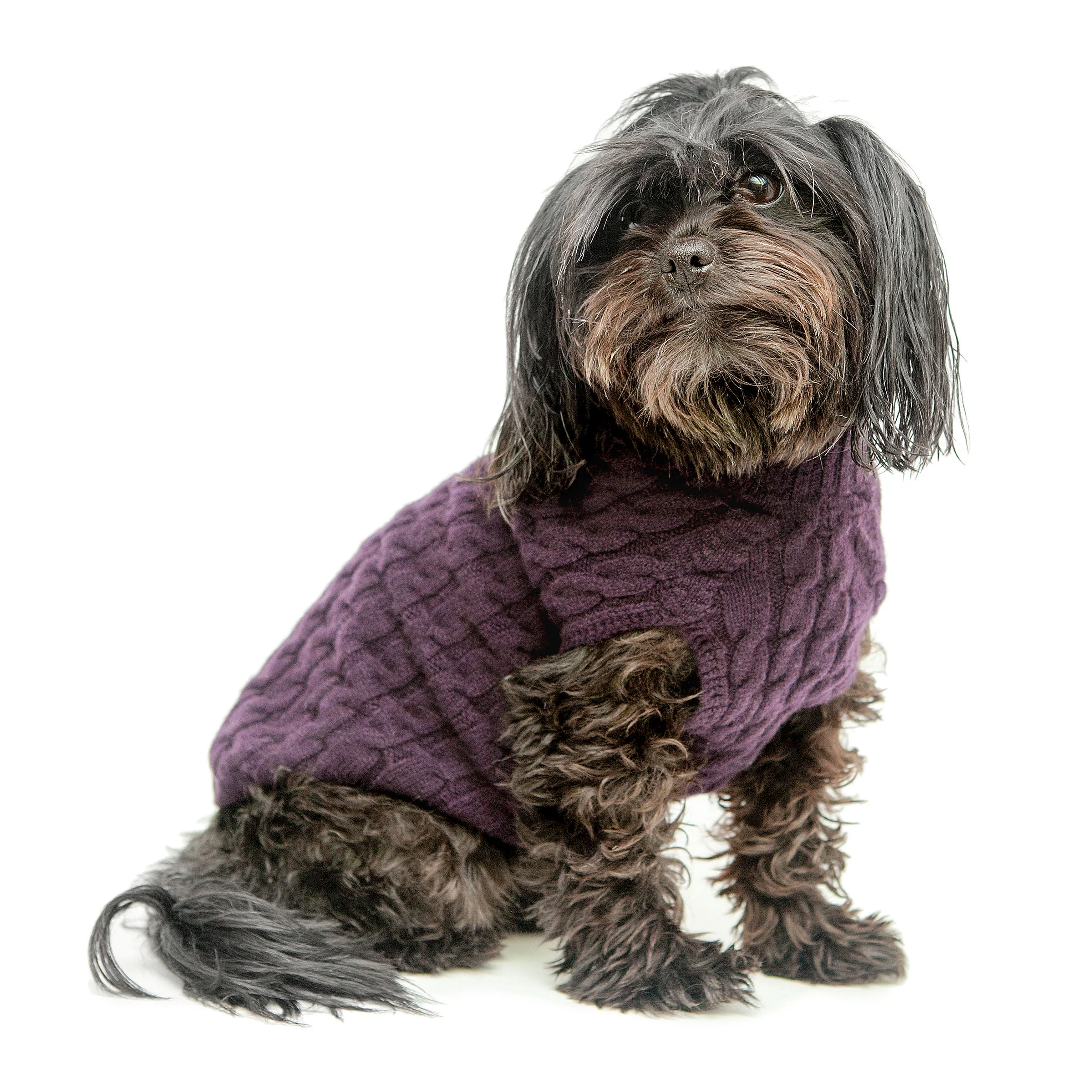 The Topo Cashmere Cable Knit Dog Sweater in Blackcurrant - Image 2