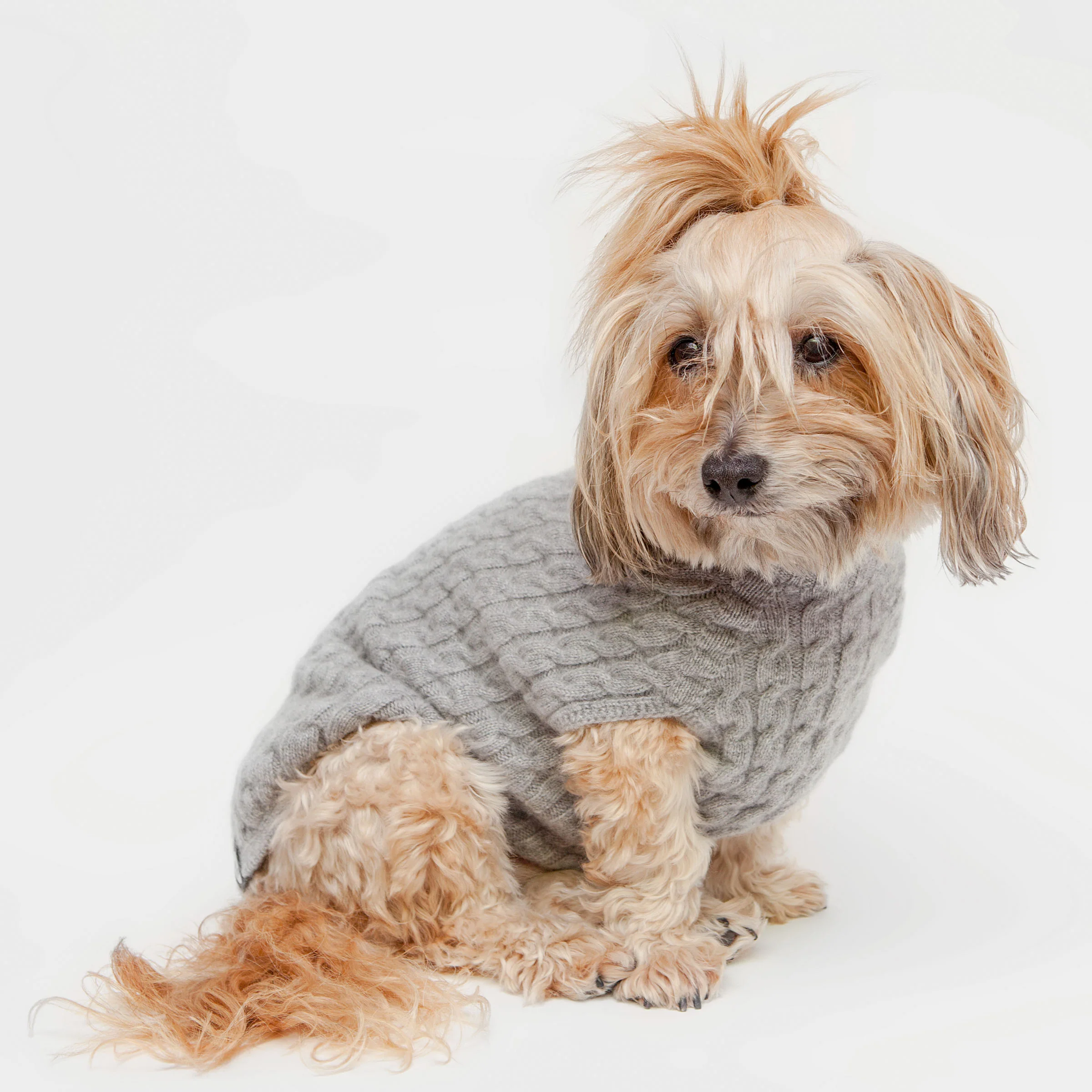 The Topo Cashmere Cable Knit Dog Sweater in Brume Grey (Made in NYC) - Image 2