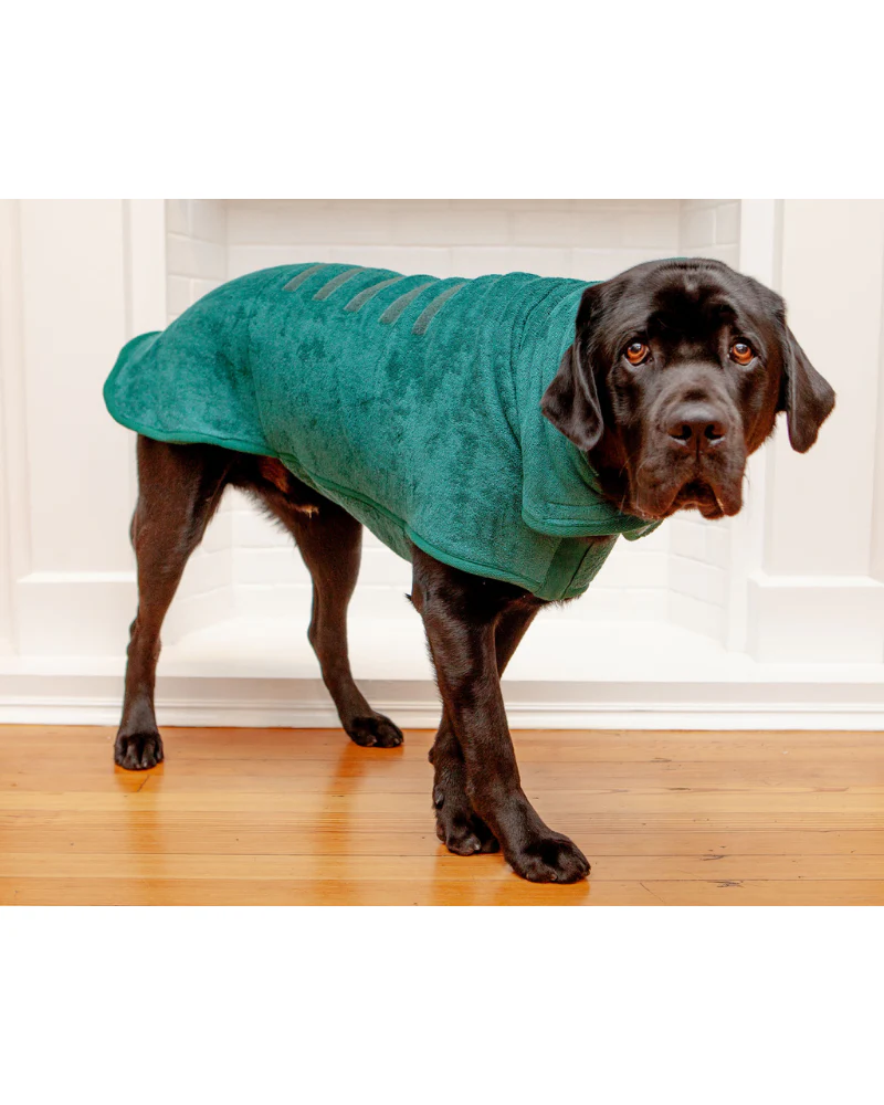 Dog Drying Coat in Bottle Green (Made in the UK) (CLEARANCE) - Image 3
