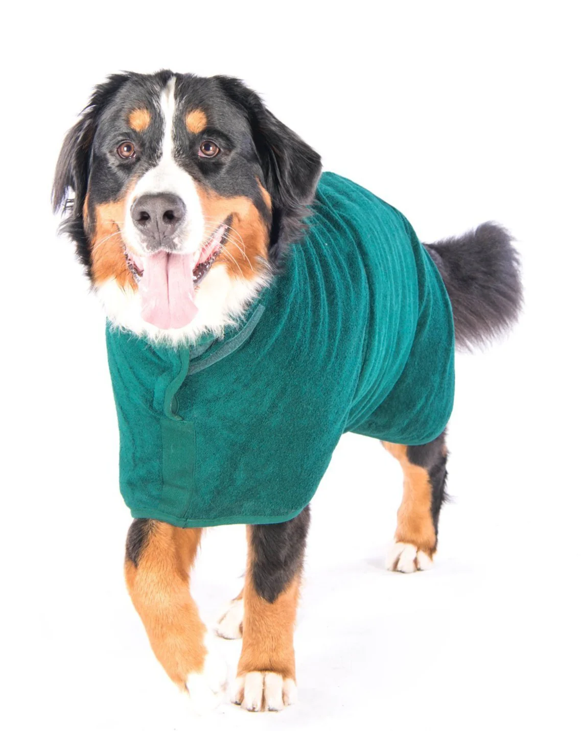 Dog Drying Coat in Bottle Green (Made in the UK) (CLEARANCE) - Image 8