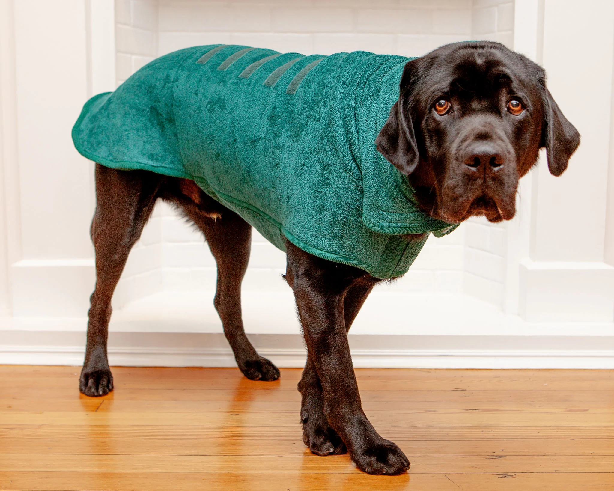 Dog Drying Coat in Bottle Green (Made in the UK) (CLEARANCE) - Image 9