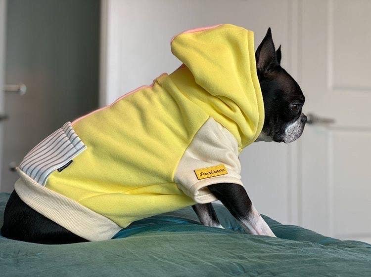Dog Hoodie in Banana Split - Image 7