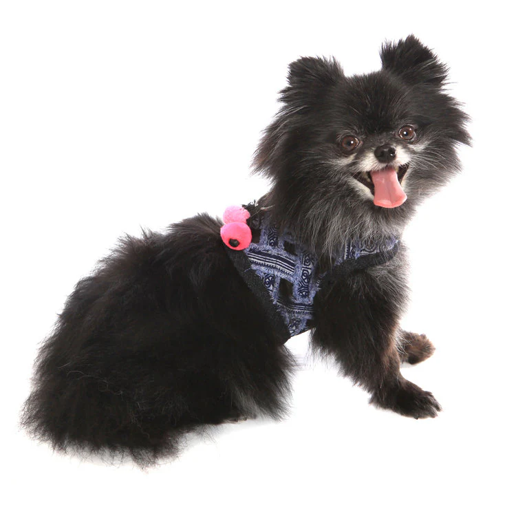 DOG IN THE CLOSET | Venice Frayed Denim Harness Vest - Image 3