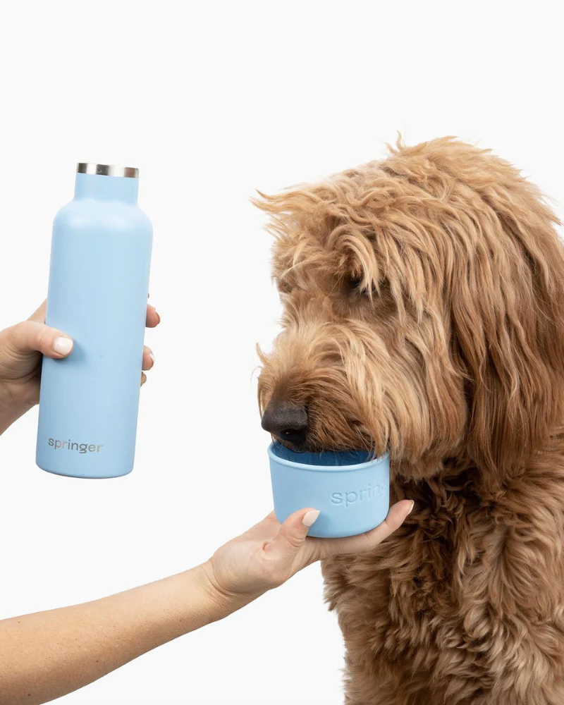 Dog & Me Water Bottle w/ Bowl in White (24oz) - Image 2