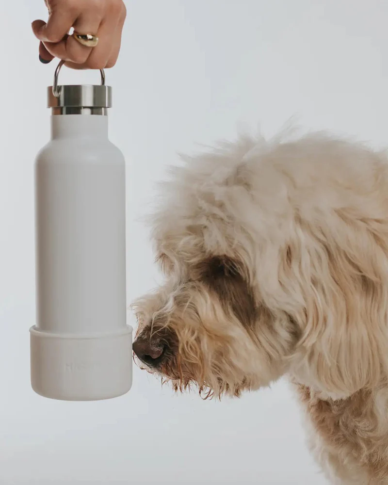Dog & Me Water Bottle w/ Bowl in White (24oz) - Image 3