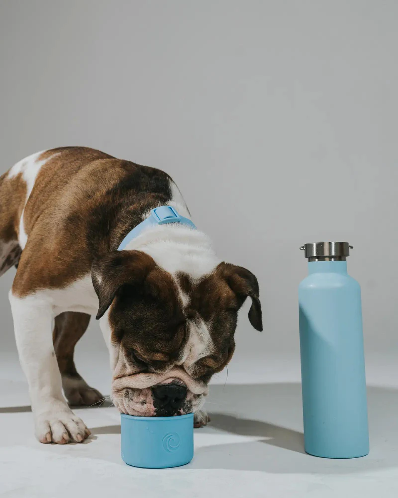 Dog & Me Water Bottle w/ Bowl in White (24oz) - Image 5