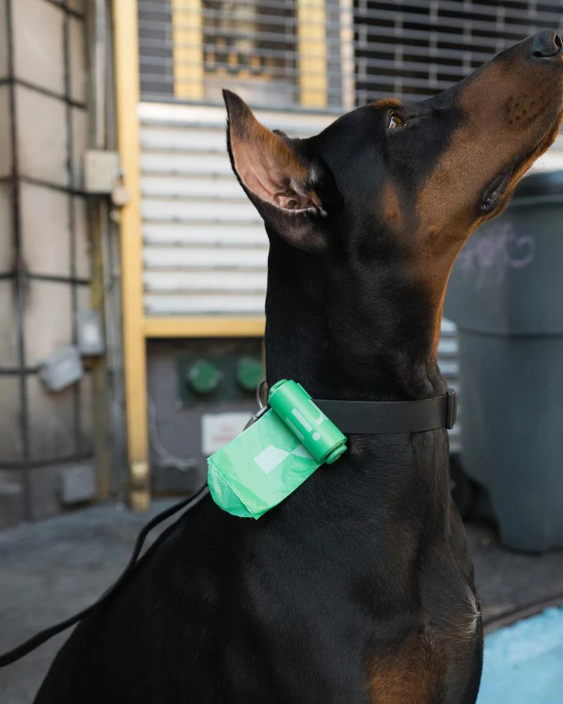 Dog Poop Bag Dispenser Holder + Roll - Image 4