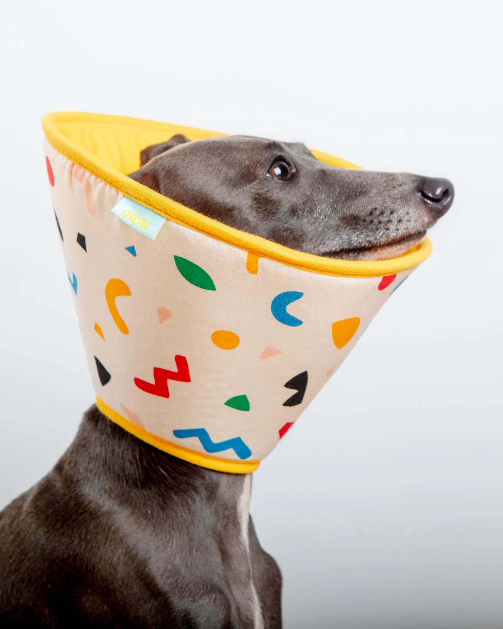 Dog Recovery Cone E-Collar