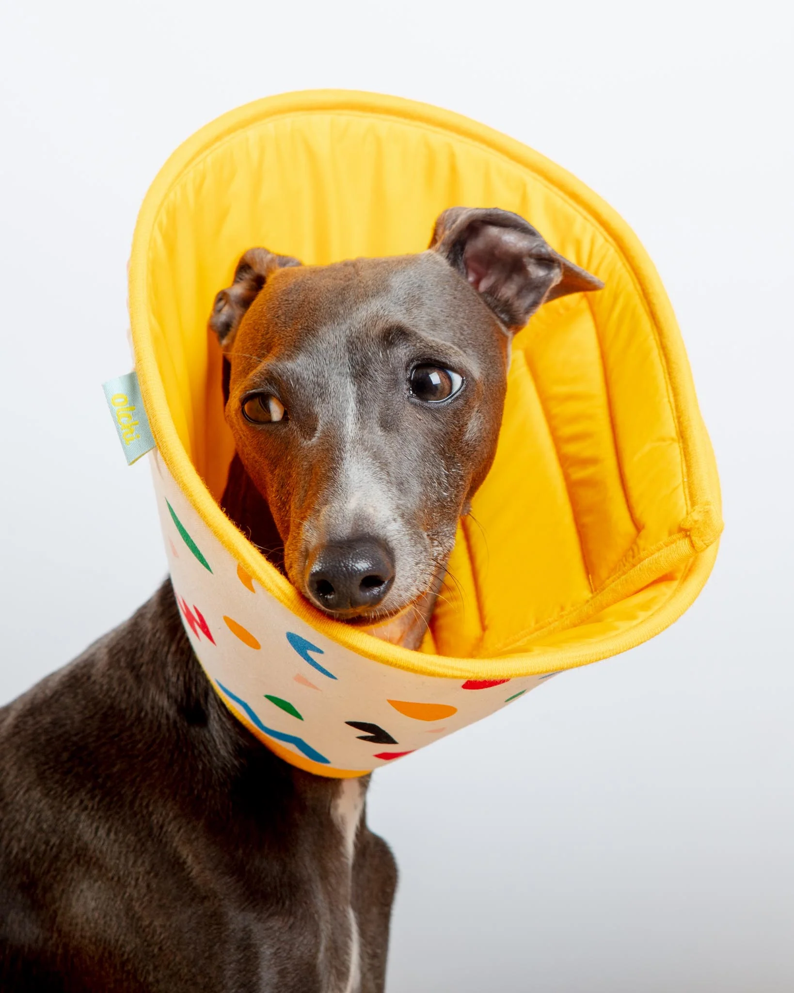 Dog Recovery Cone E-Collar - Image 2