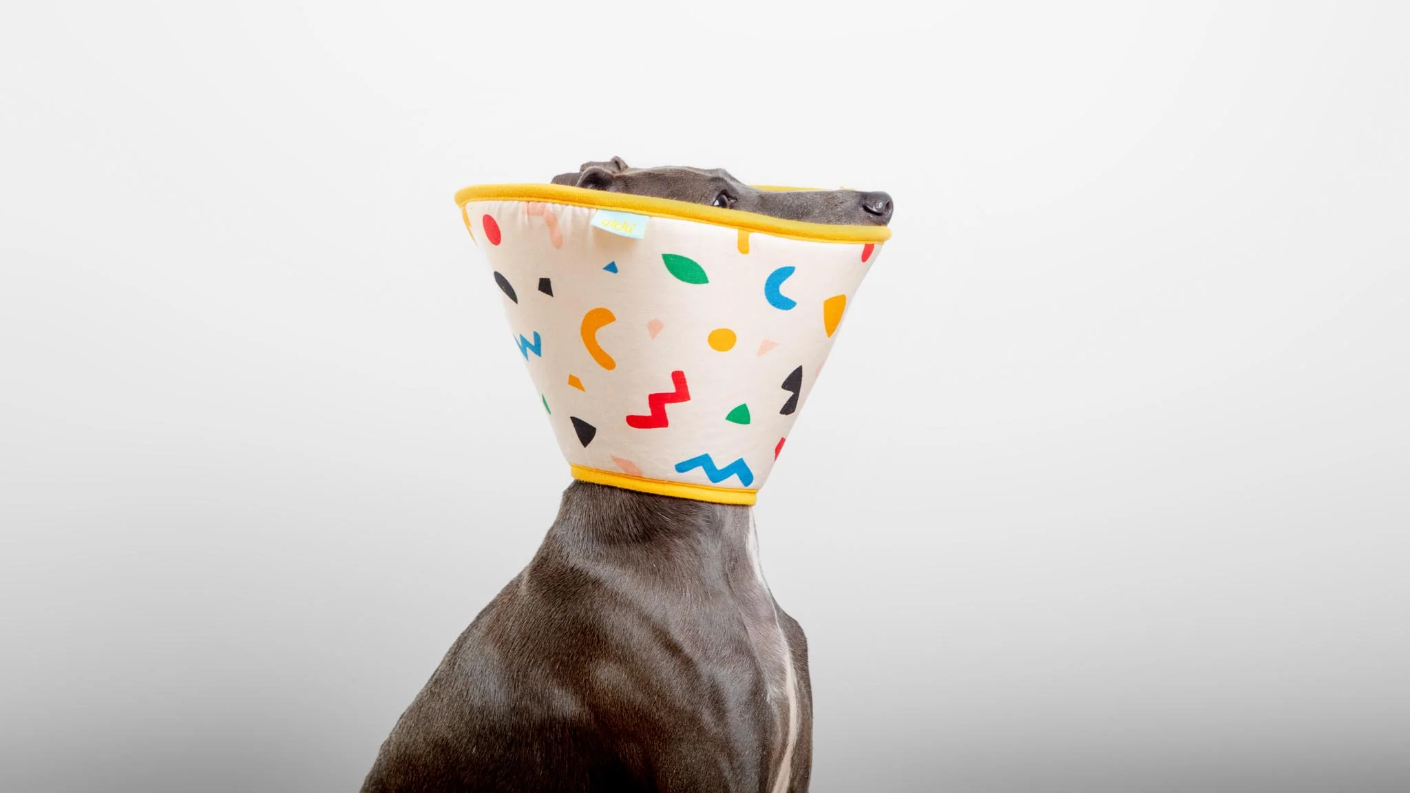 Dog Recovery Cone E-Collar - Image 3