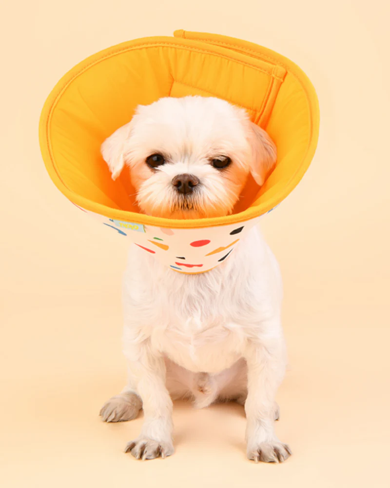 Dog Recovery Cone E-Collar - Image 4