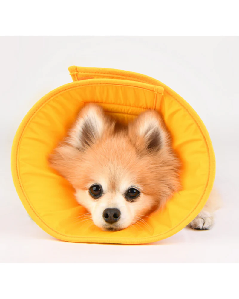 Dog Recovery Cone E-Collar - Image 6