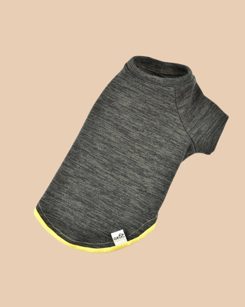 Knit Dog Sweater in Khaki Green w/ Yellow Trim (Made in Spain) (FINAL SALE) - Image 2